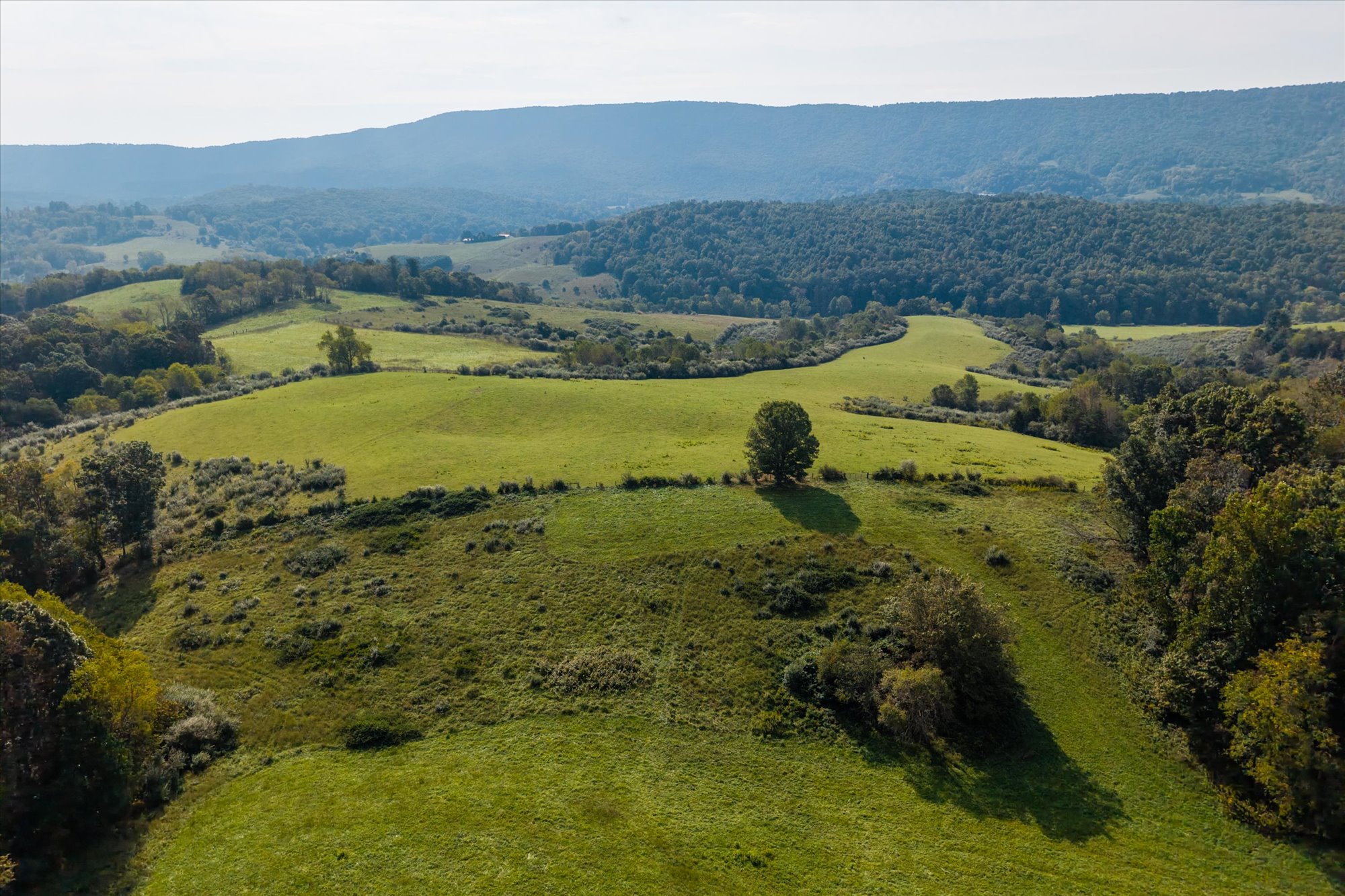  Crystal Springs Farm - 物件實景
