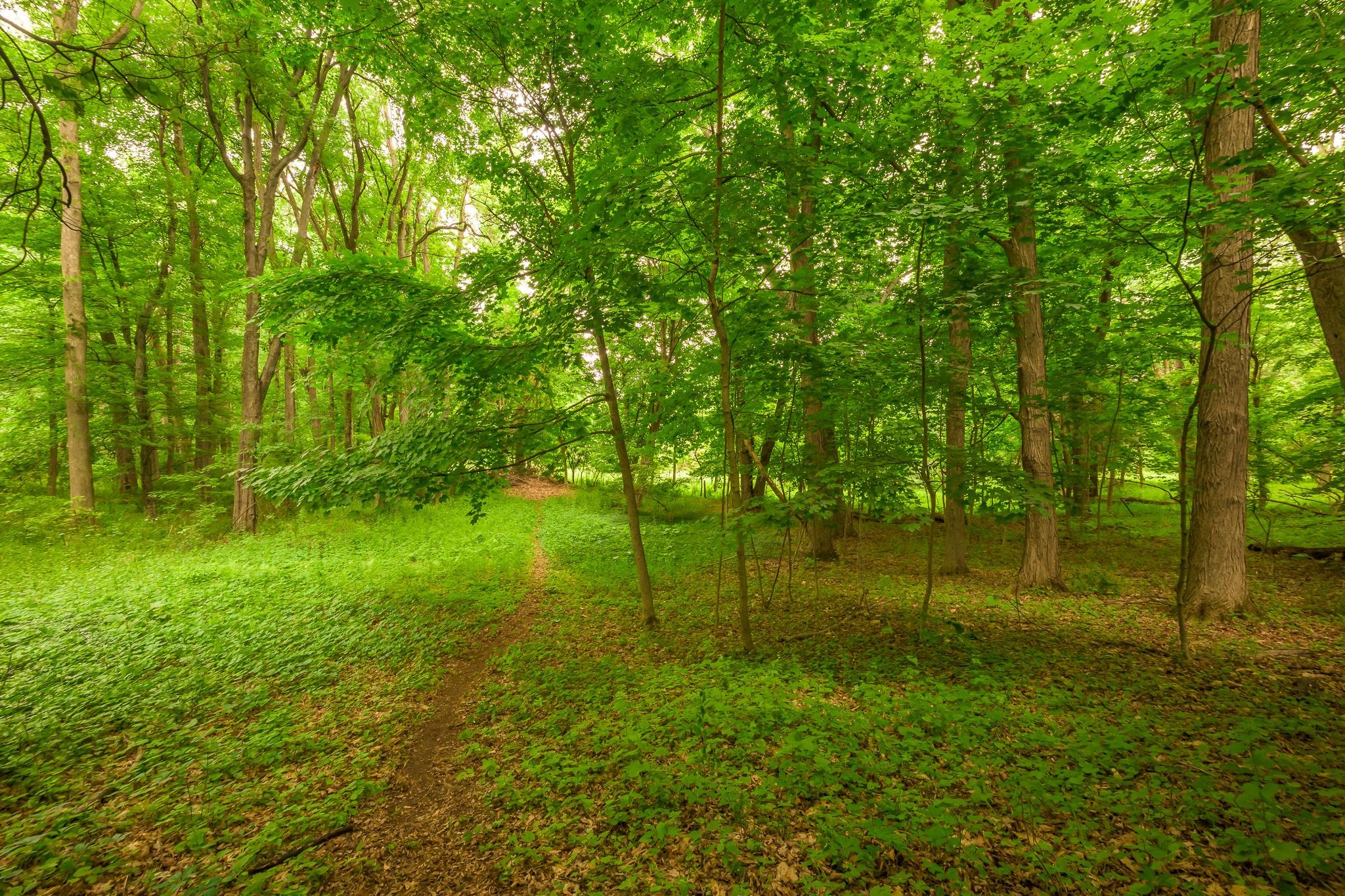  24 Albany Avenue, Kinderhook, NY 12106 - 物件實景