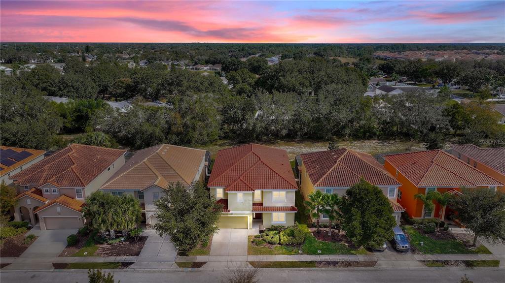 Davenport, Florida, 33837, United States, 10 Bedrooms Bedrooms, ,8 BathroomsBathrooms,Residential,For Sale,1996234