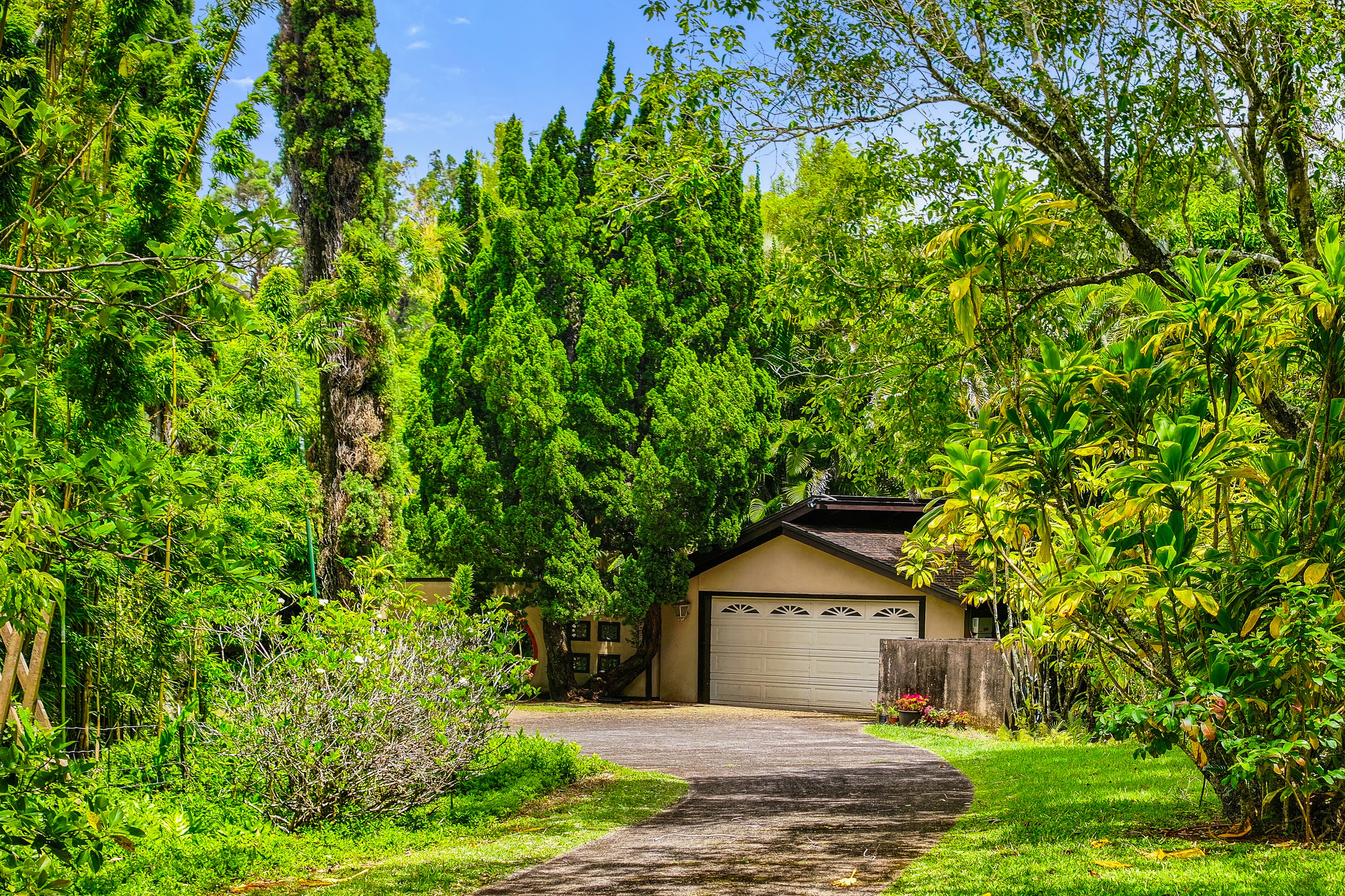  Architectural Haiku Retreat on Nearly 10 Private Acres - 物件實景