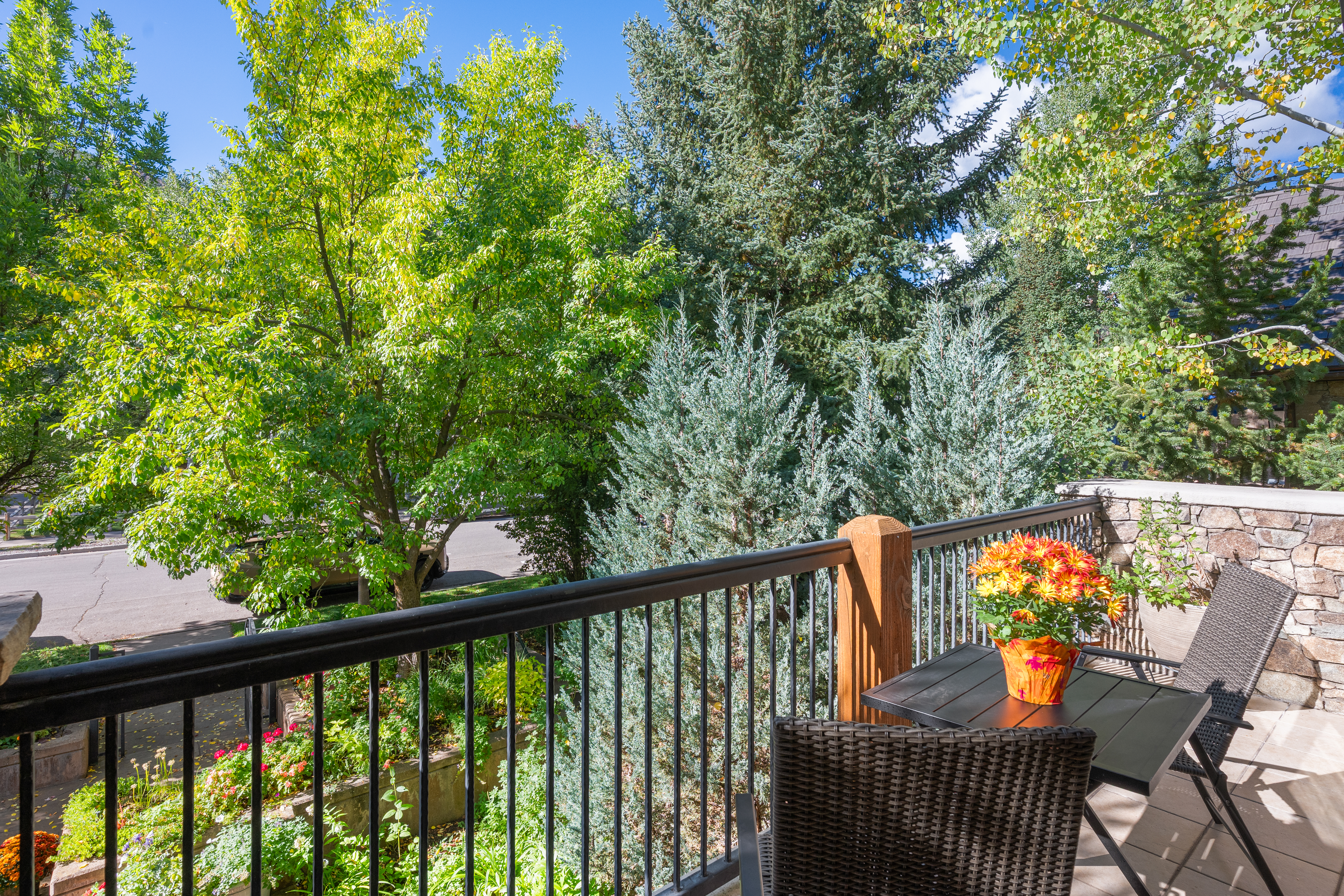  960 E Hopkins Avenue, Aspen, CO, 81611 - 物件實景