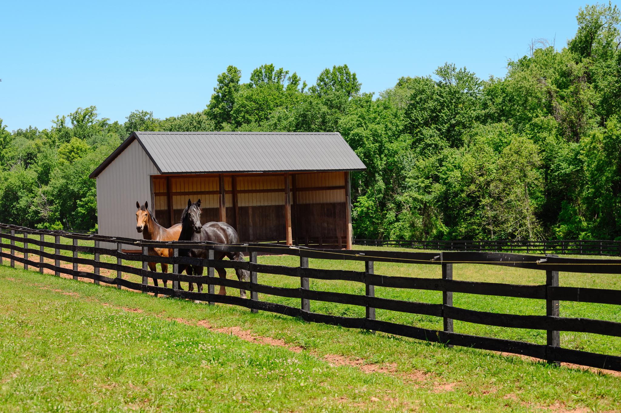  18101 Cattail Road, Poolesville, MD, 20837 - 物件實景