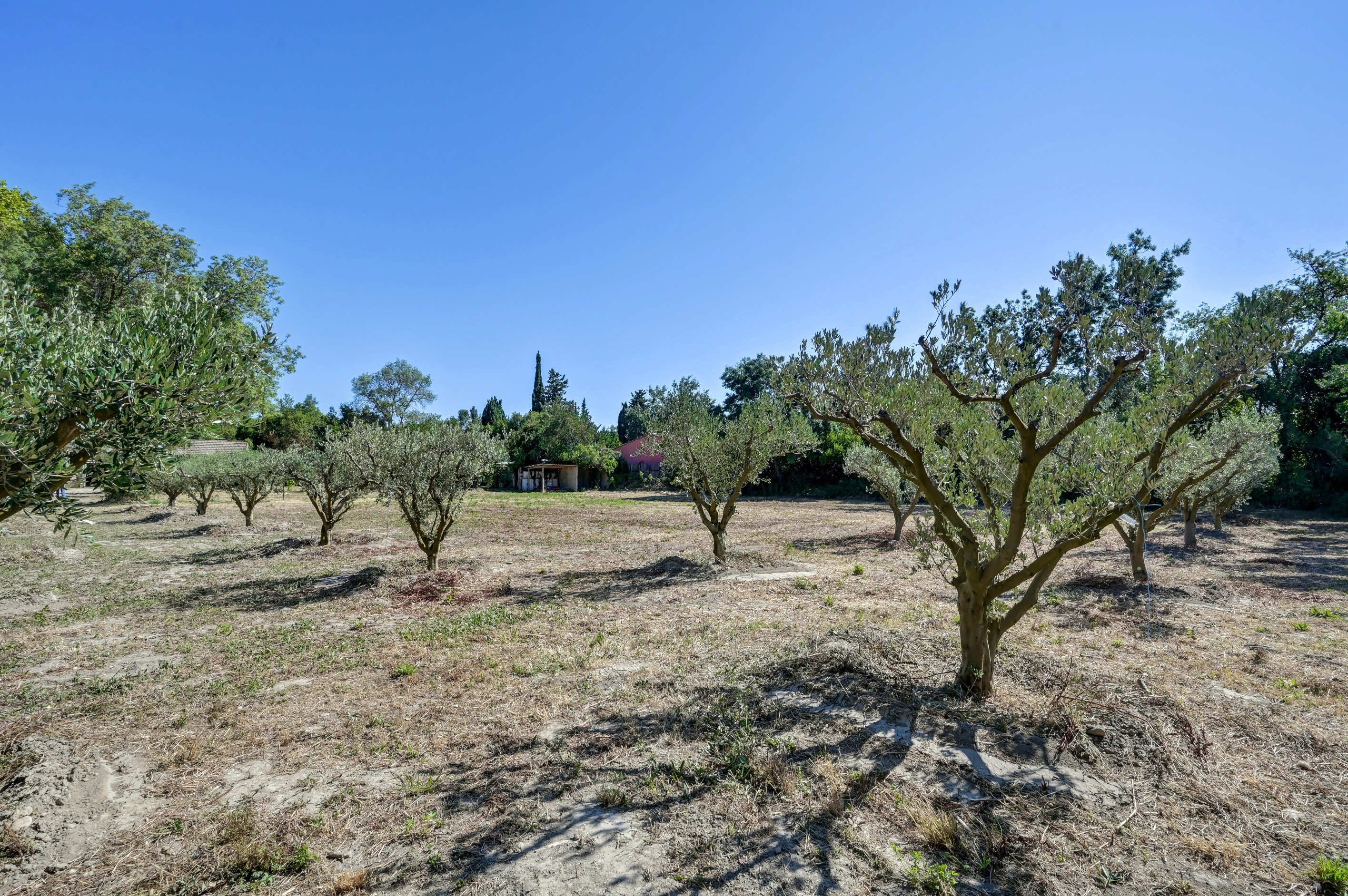 Authentic farmhouse to renovate in Saint Rémy de Provence - 物件實景