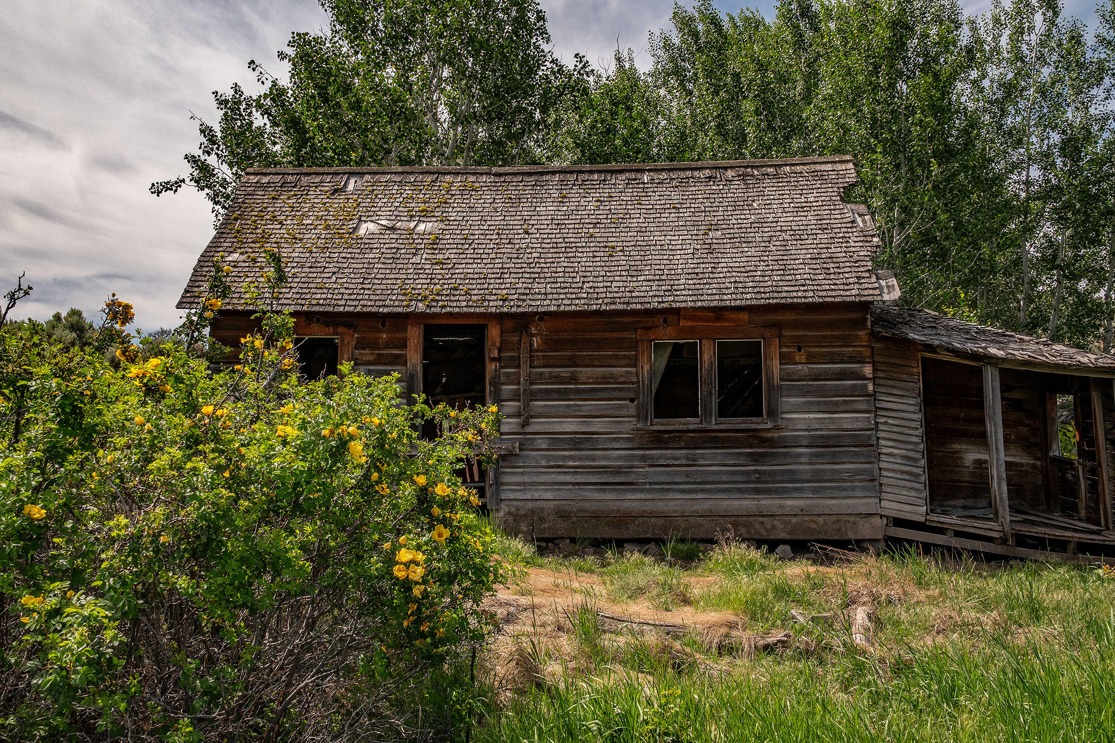 Tl 3700 Suplee Highway, Paulina, Oregon, 97751, United States, ,Land,For Sale,Tl 3700 Suplee Highway,1511106
