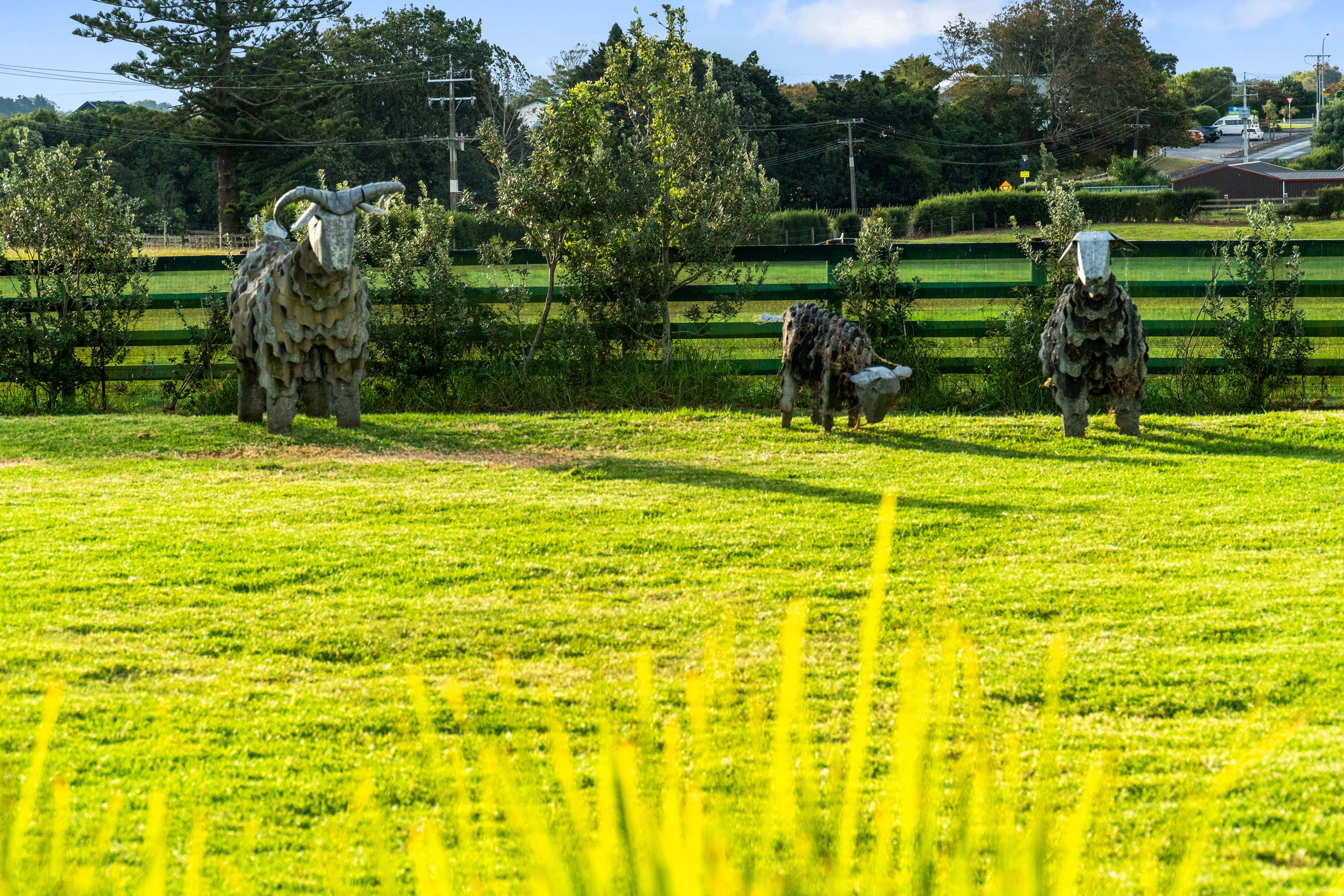  468 Batty Road, Karaka, Auckland - 物件實景