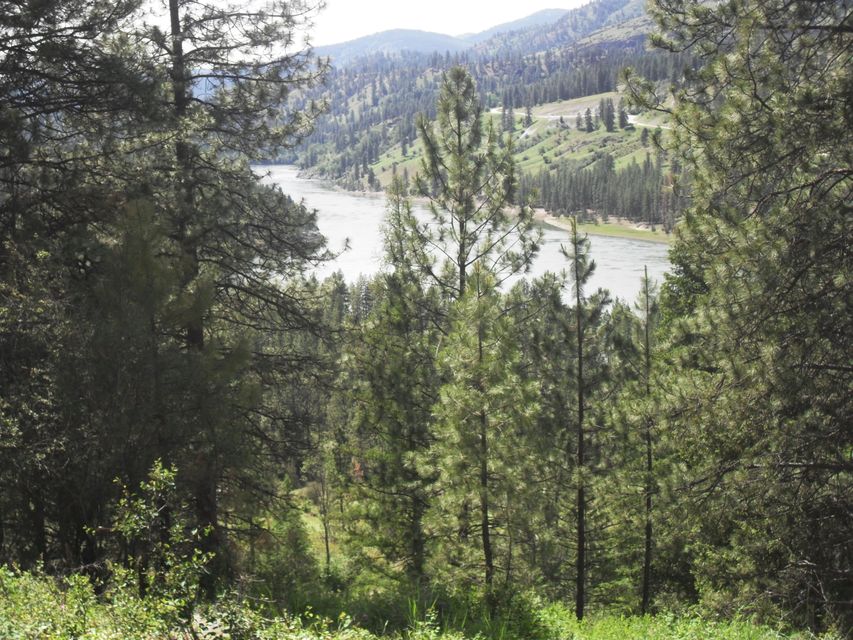 Northport, Washington, 99157, United States, ,Land,For Sale,1982244