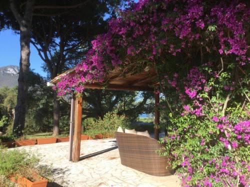 Via Tamerice, Sabaudia, Latina, 04016, IT, 5 Bedrooms Bedrooms, ,4 BathroomsBathrooms,Residential,For Sale,Via Tamerice,1611092