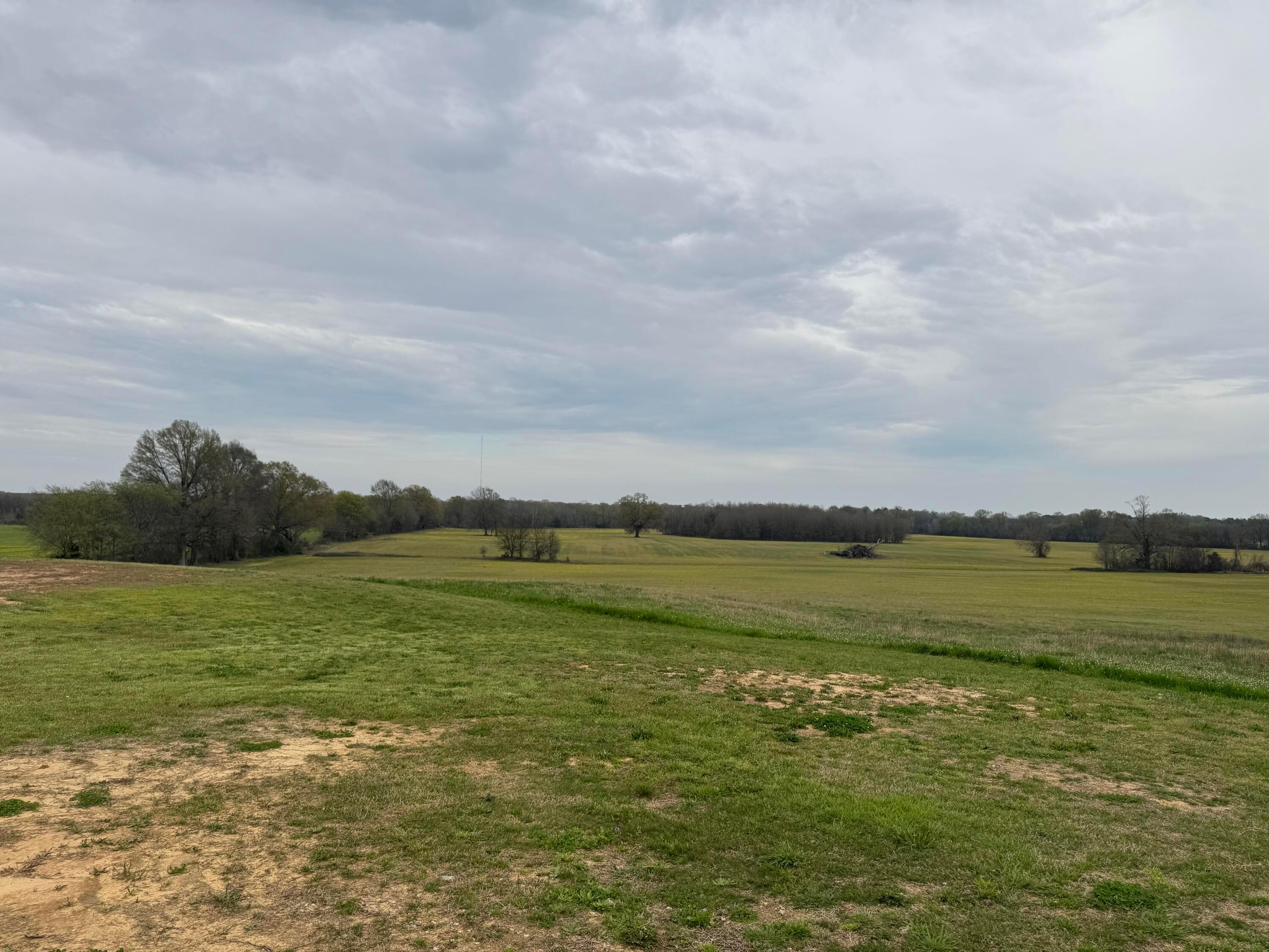 Guntown, Mississippi, 38849, United States, 4 Bedrooms Bedrooms, ,3 BathroomsBathrooms,Residential,For Sale,1947113