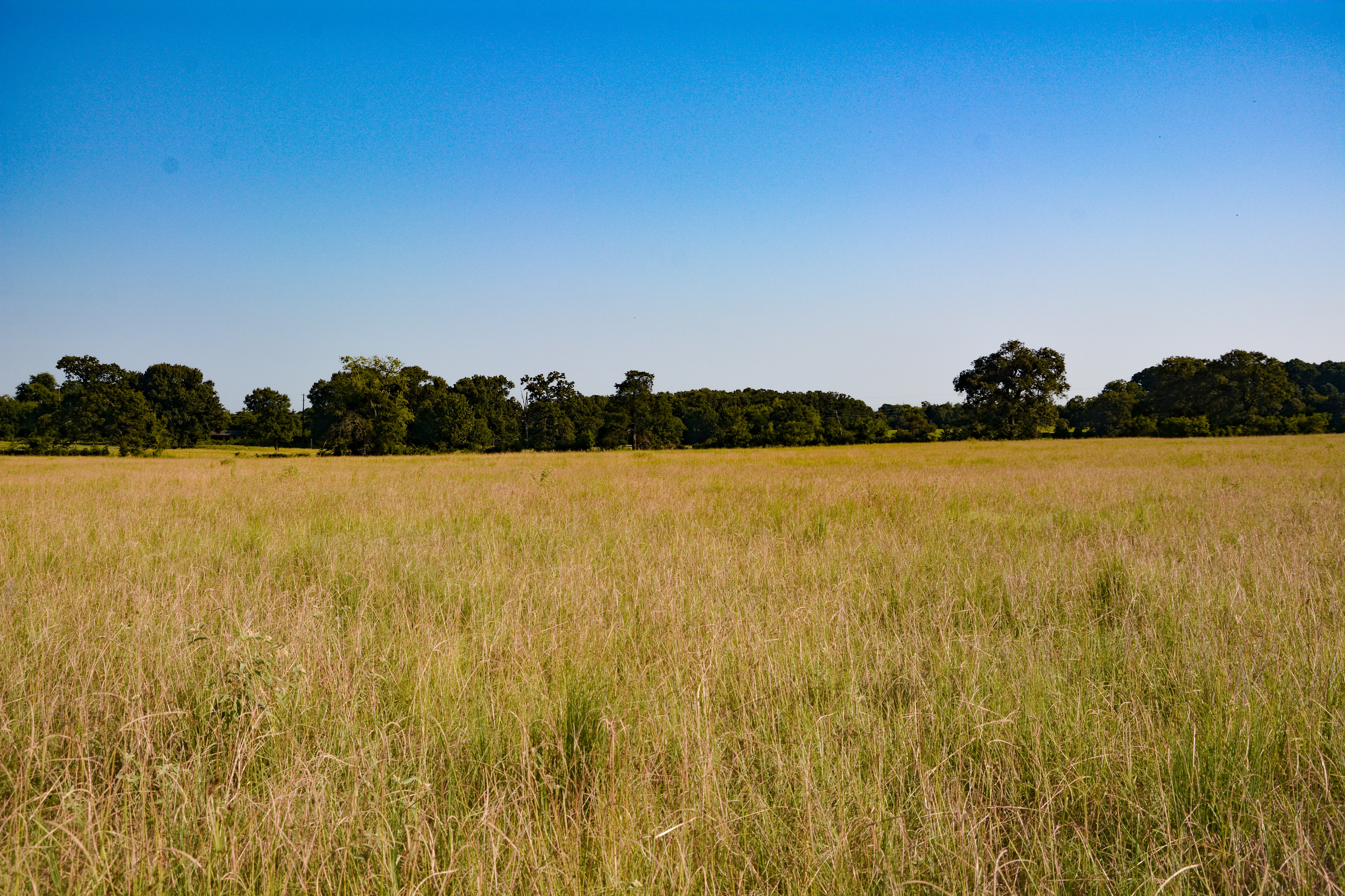 Grand Saline, Texas, 75140, United States, ,Residential,For Sale,1938420