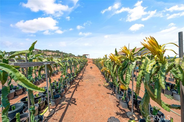 Fallbrook, California, 92028, United States, 2 Bedrooms Bedrooms, ,3 BathroomsBathrooms,Residential,For Sale,1979251