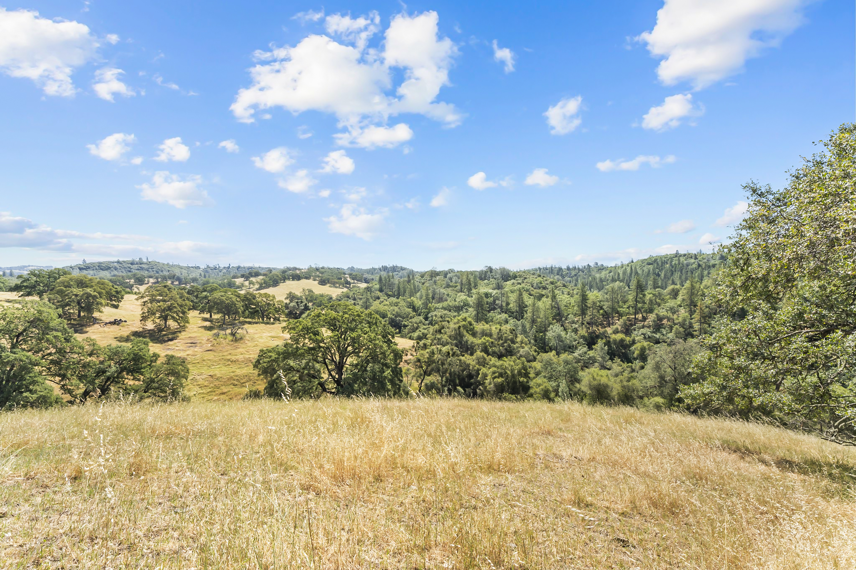  Amoruso Ranch 1000+ Acres Legacy - 物件實景