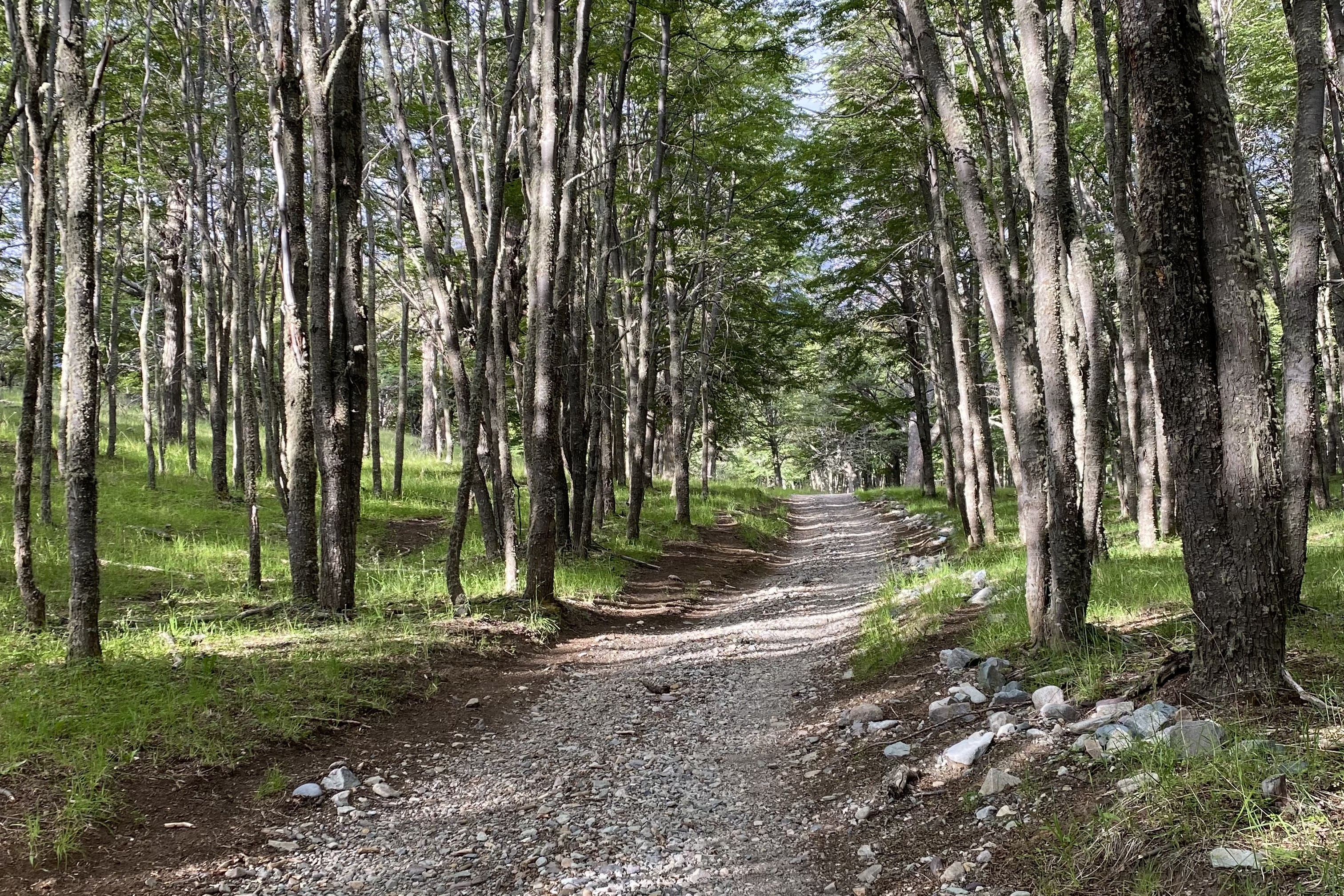  50-Hectare Property Adjacent to Cerro Castillo with 1.3 km of Waterfront - 物件實景