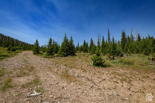 Brian Head, Utah, 84719, United States, ,Residential,For Sale,1915846