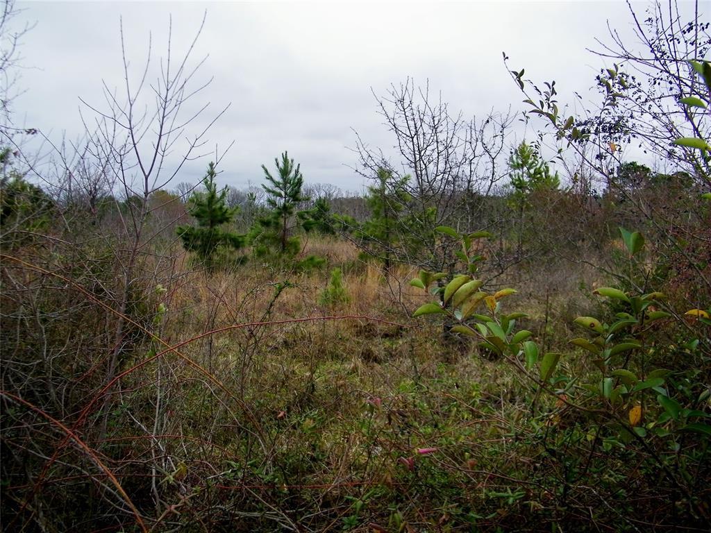 Idabel, Oklahoma, 74745, United States, ,Residential,For Sale,1981153