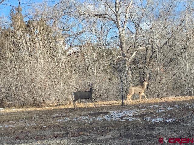 Dolores, Colorado, 81323, United States, 3 Bedrooms Bedrooms, ,3 BathroomsBathrooms,Residential,For Sale,1987313