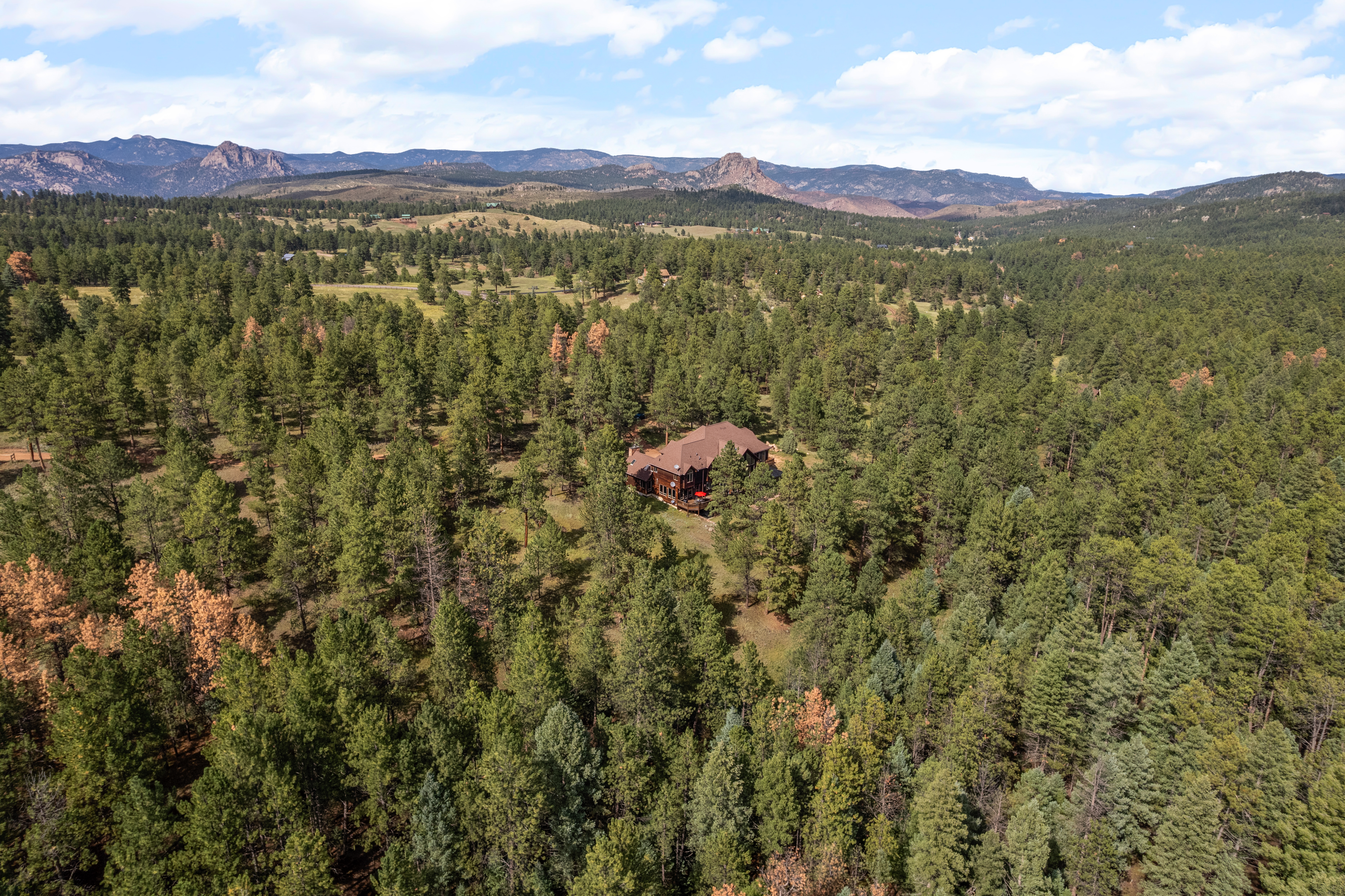  Perfect Blend of Space and Colorado Living That Backs to Pike National Forest - 物件實景