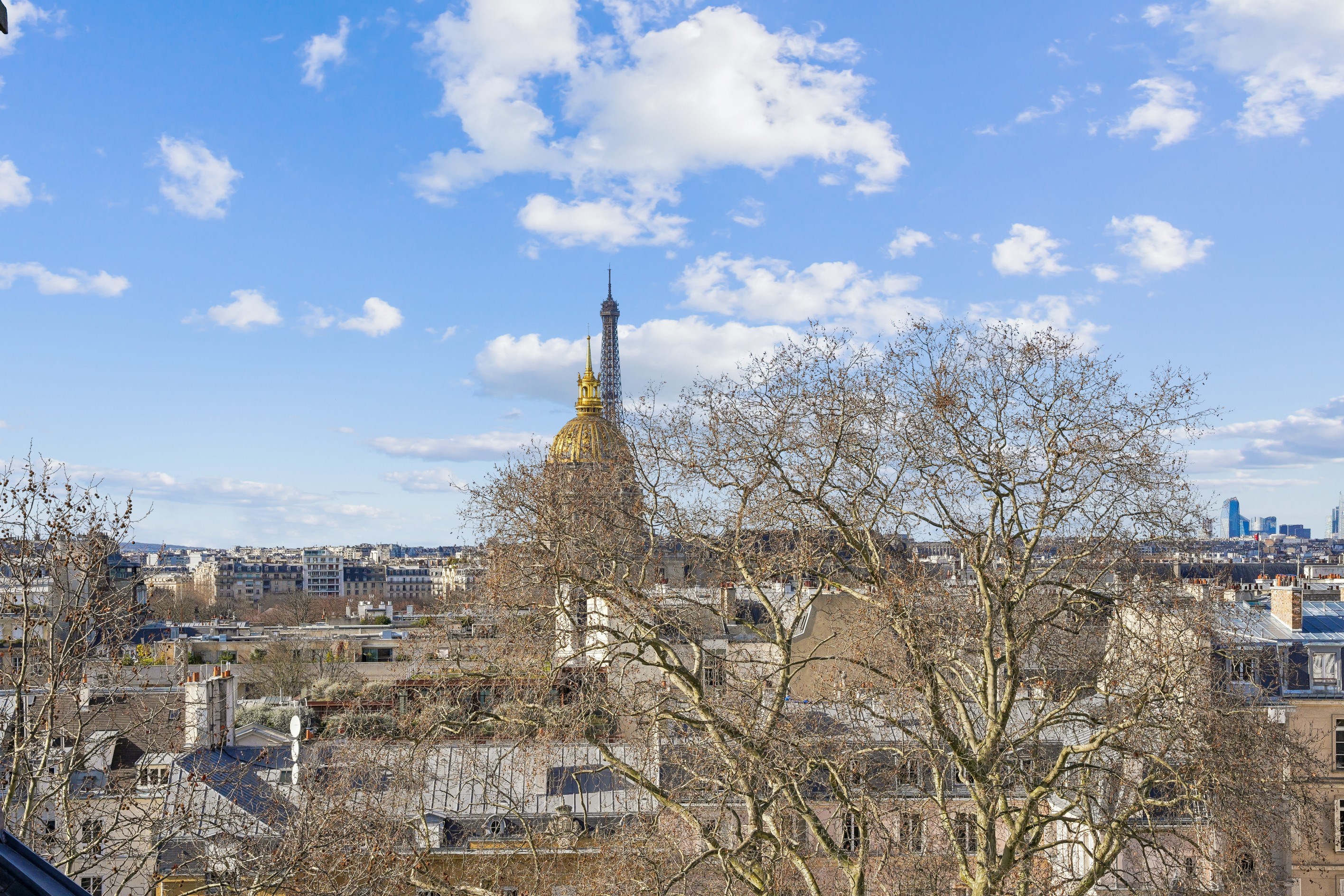  FOR SALE - Top floor apartment - 1 bedroom - Views over PARIS - Varenne - Matig… - 物件實景