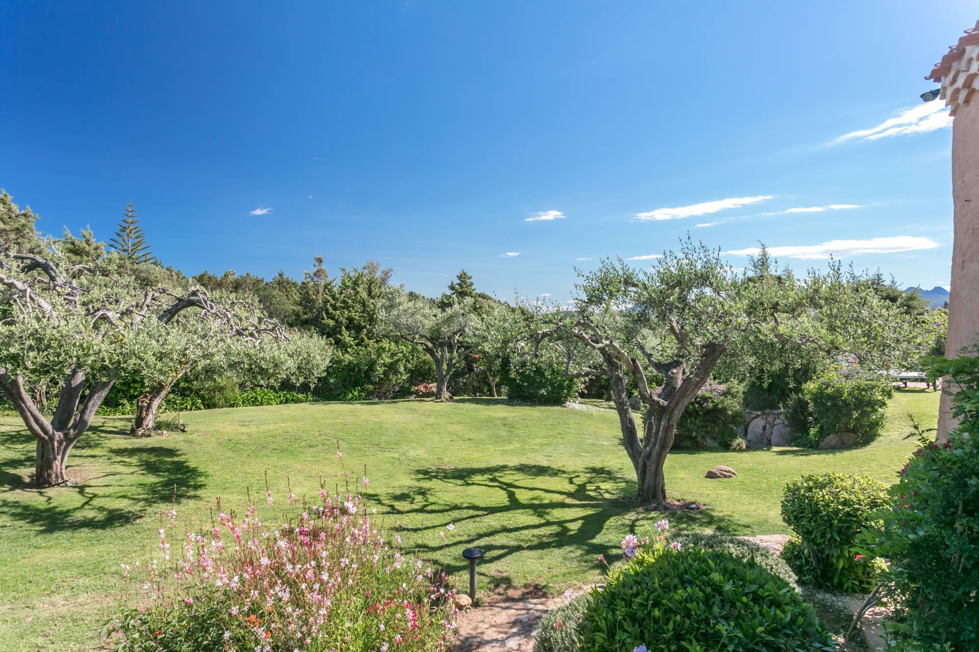 La Celvia - Porto Cervo, Arzachena, Sassari, IT, 6 Bedrooms Bedrooms, ,7 BathroomsBathrooms,Residential,For Sale,La Celvia - Porto Cervo,1672741