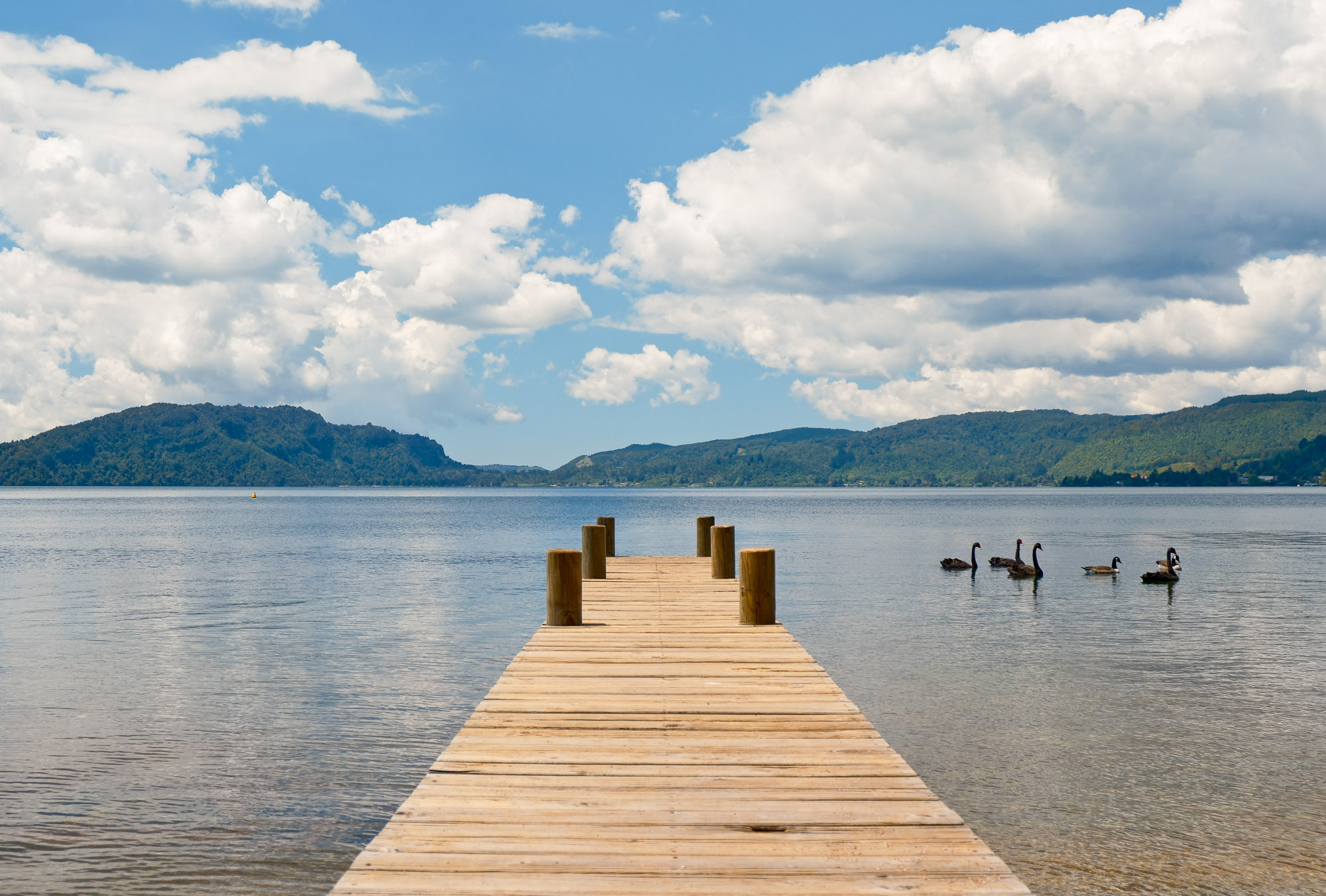  A Rare Rotoiti Legacy - 物件實景