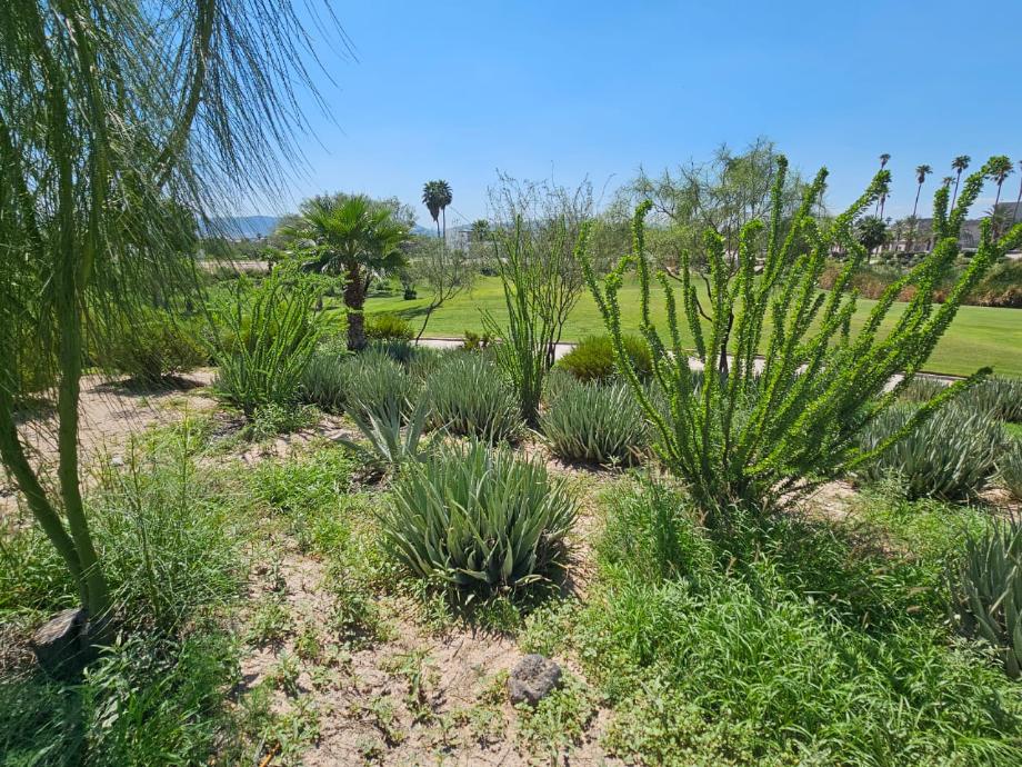 Sierra de los Alpes, Torreón, Coahuila de Zaragoza, 27274, Mexico, 1 Bedroom Bedrooms, ,Residential,For Sale,Sierra de los Alpes,1599847