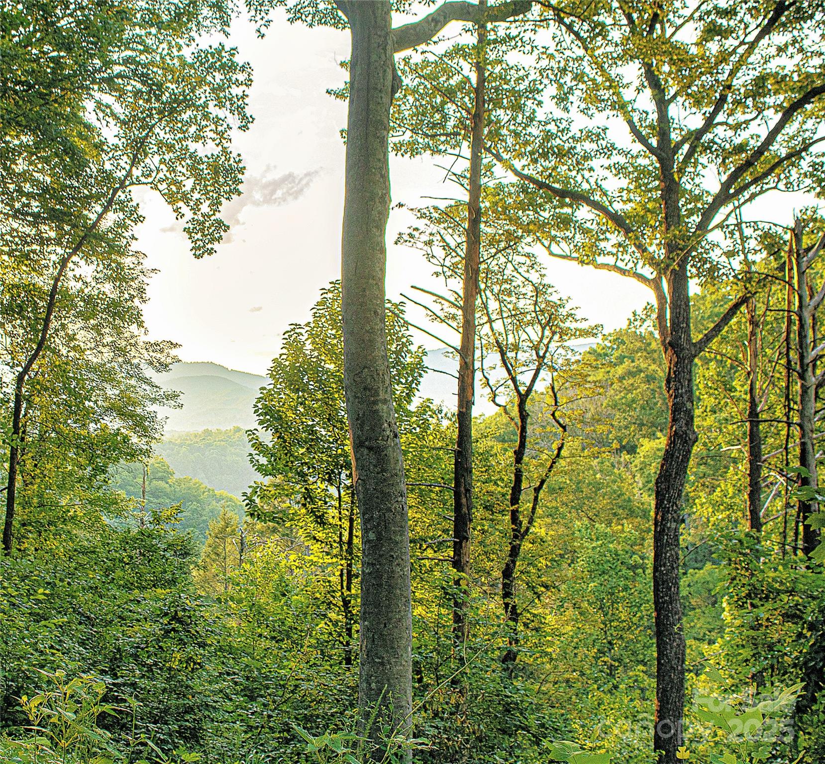 Union Mills, North Carolina, 28167, United States, ,Land,For Sale,2002836