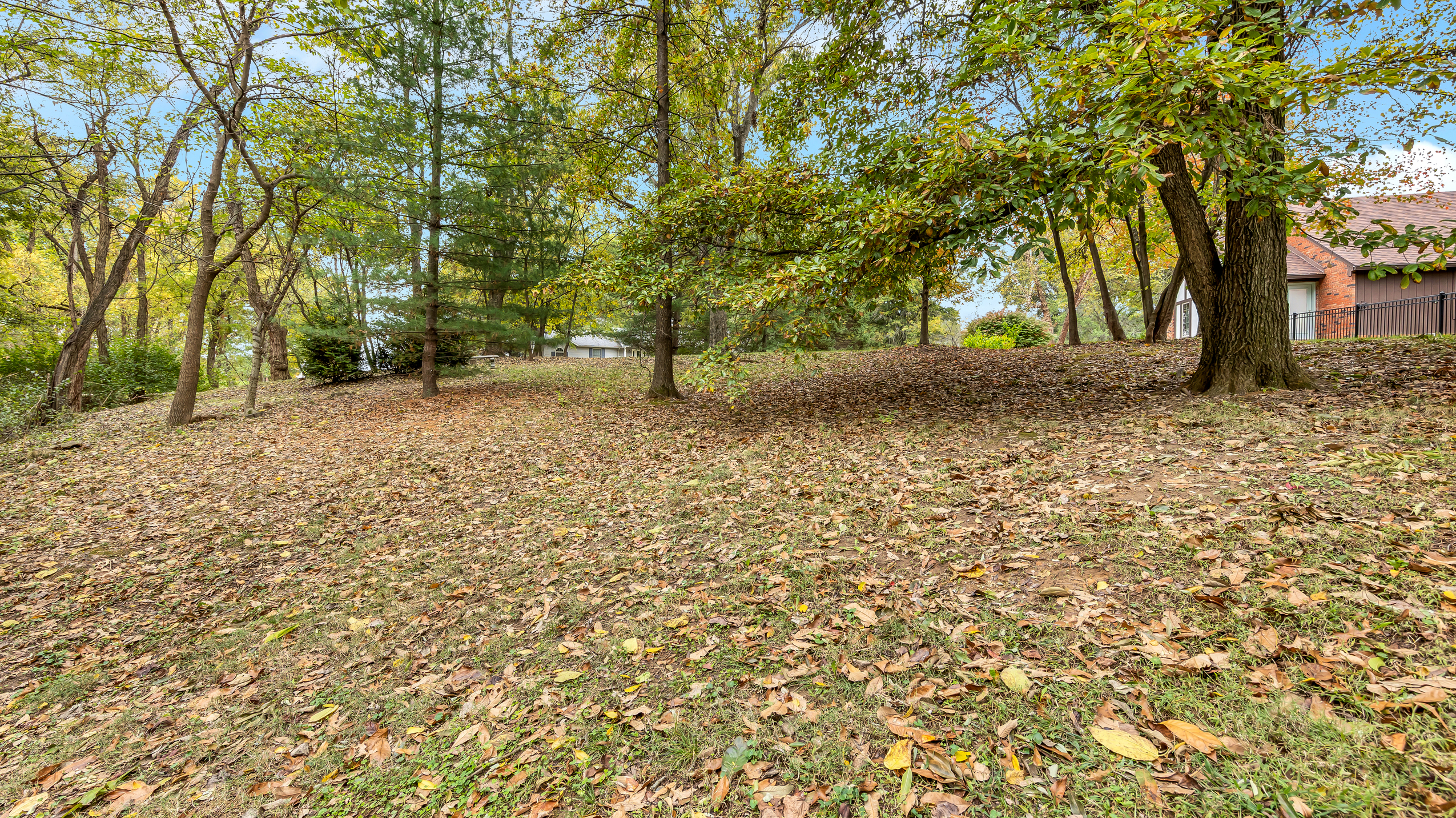 Waterloo, Illinois, 62298, United States, 3 Bedrooms Bedrooms, ,3 BathroomsBathrooms,Residential,For Sale,1986147