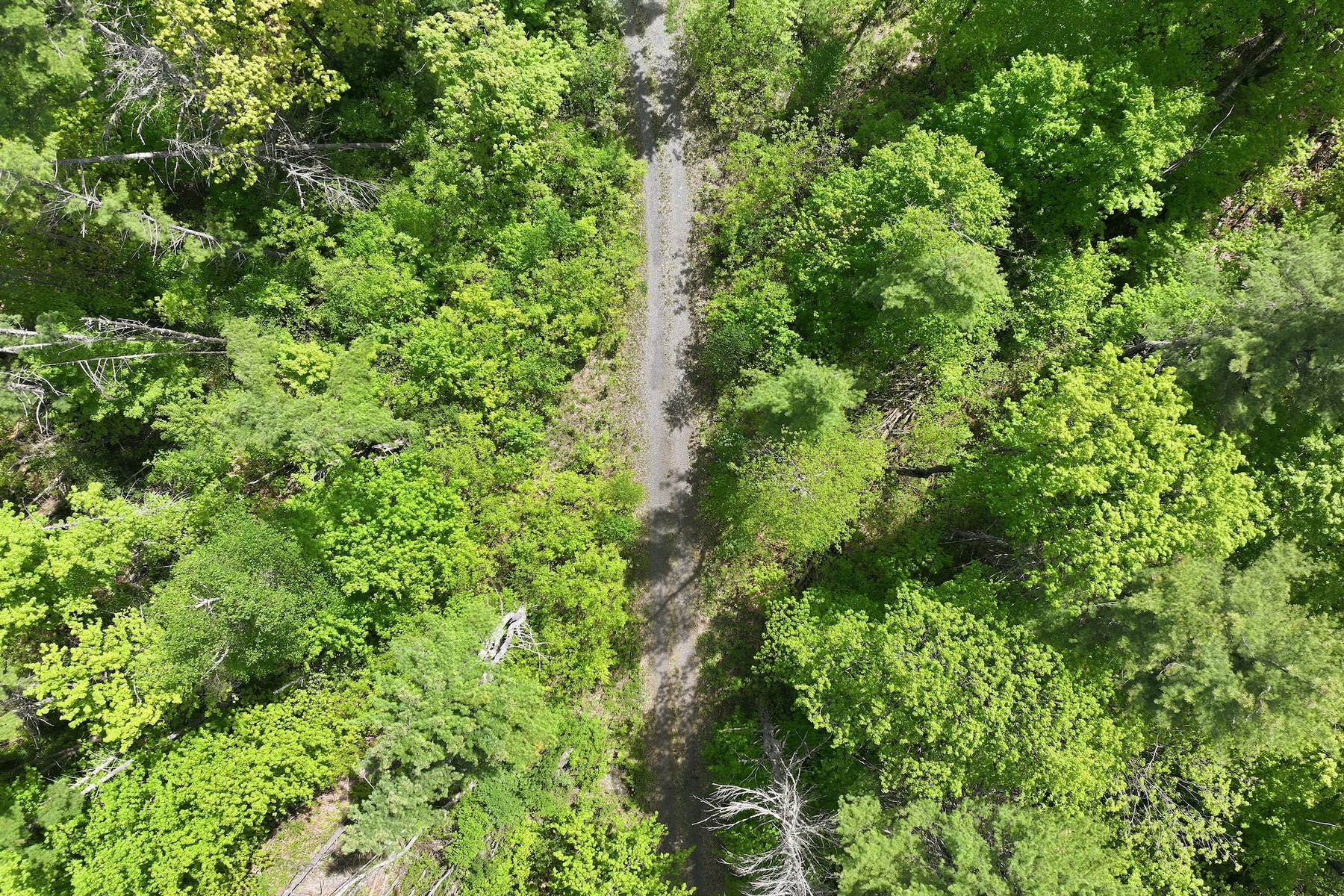  189 Shagbark Lane - 物件實景