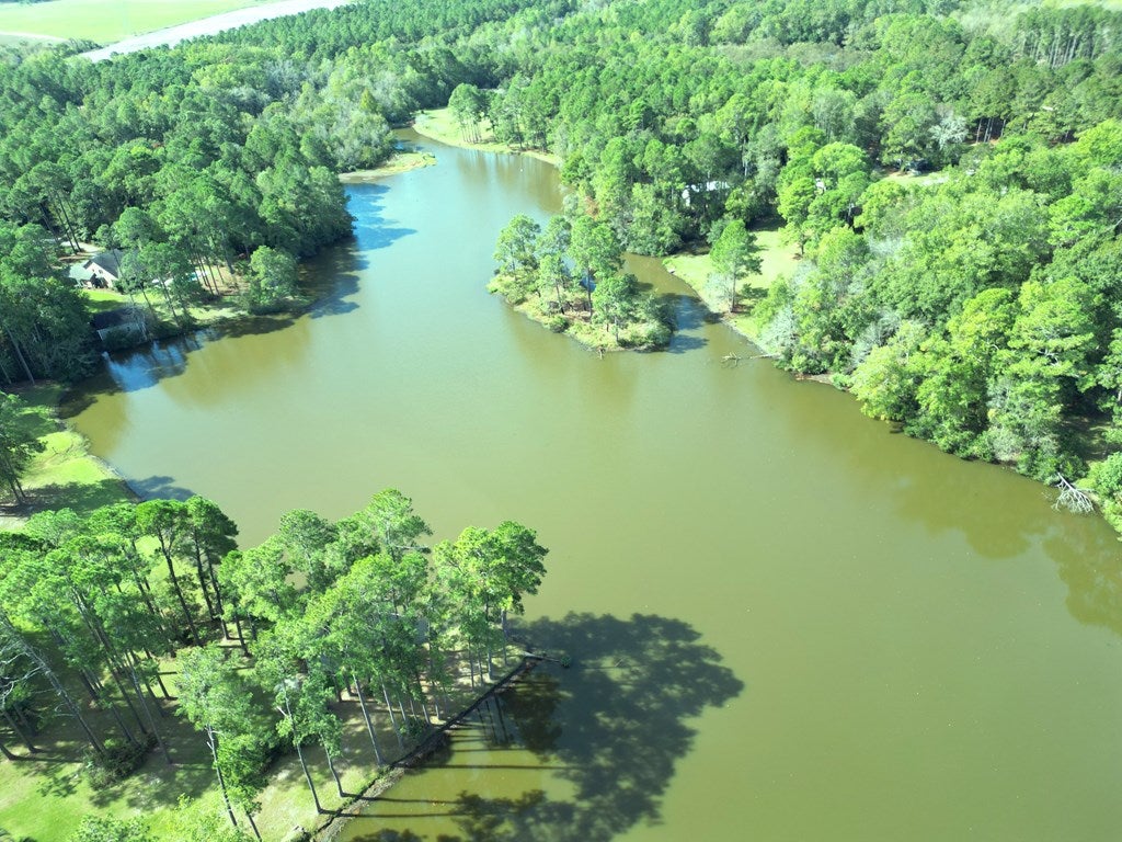 Chula, Georgia, 31733, United States, 4 Bedrooms Bedrooms, ,4 BathroomsBathrooms,Residential,For Sale,1979714