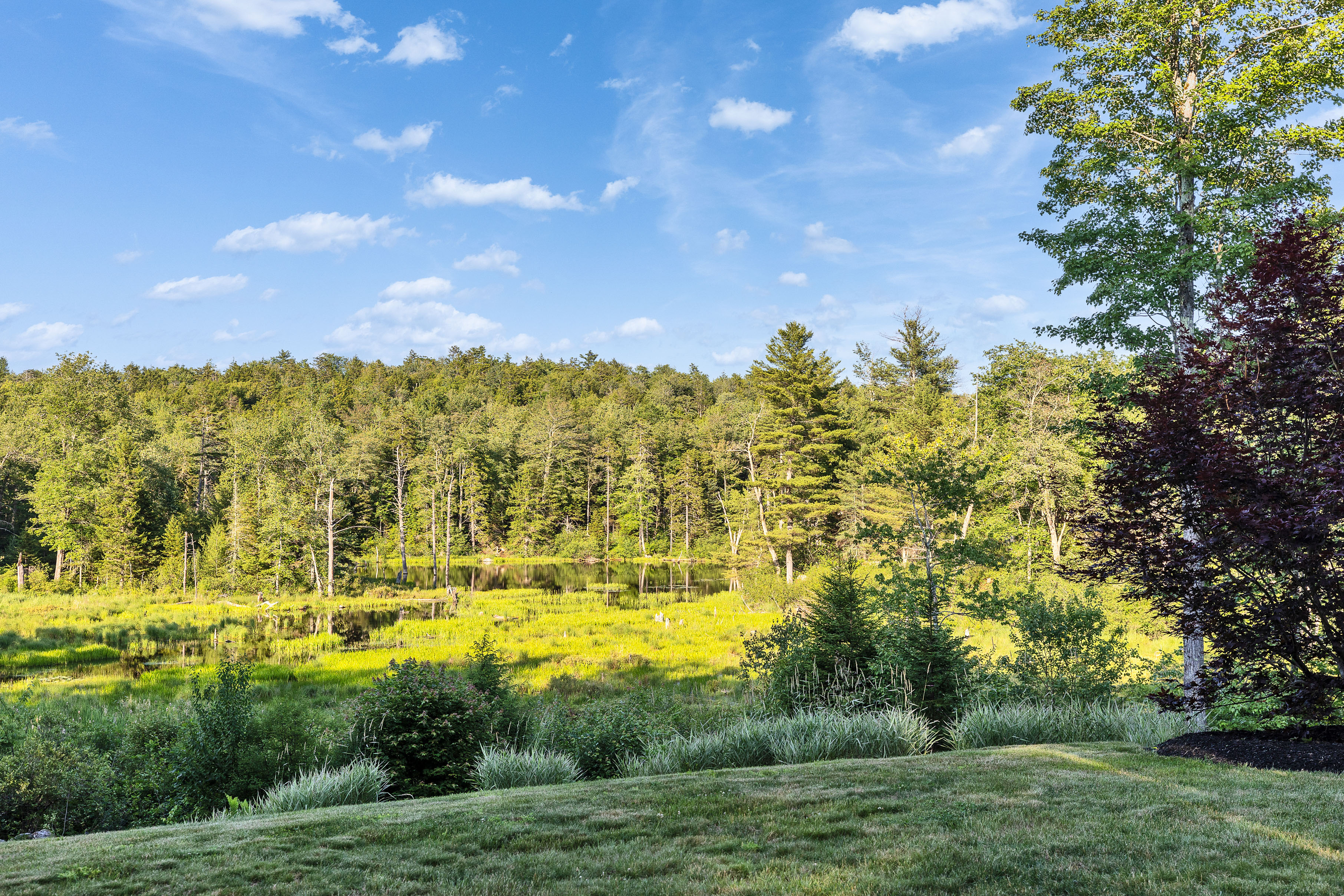  165 West Binney Hill Road - 物件實景