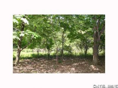 0000 Split Rock Road, Camillus, New York, 13031, United States, ,Land,For Sale,0000 Split Rock Road,1431057