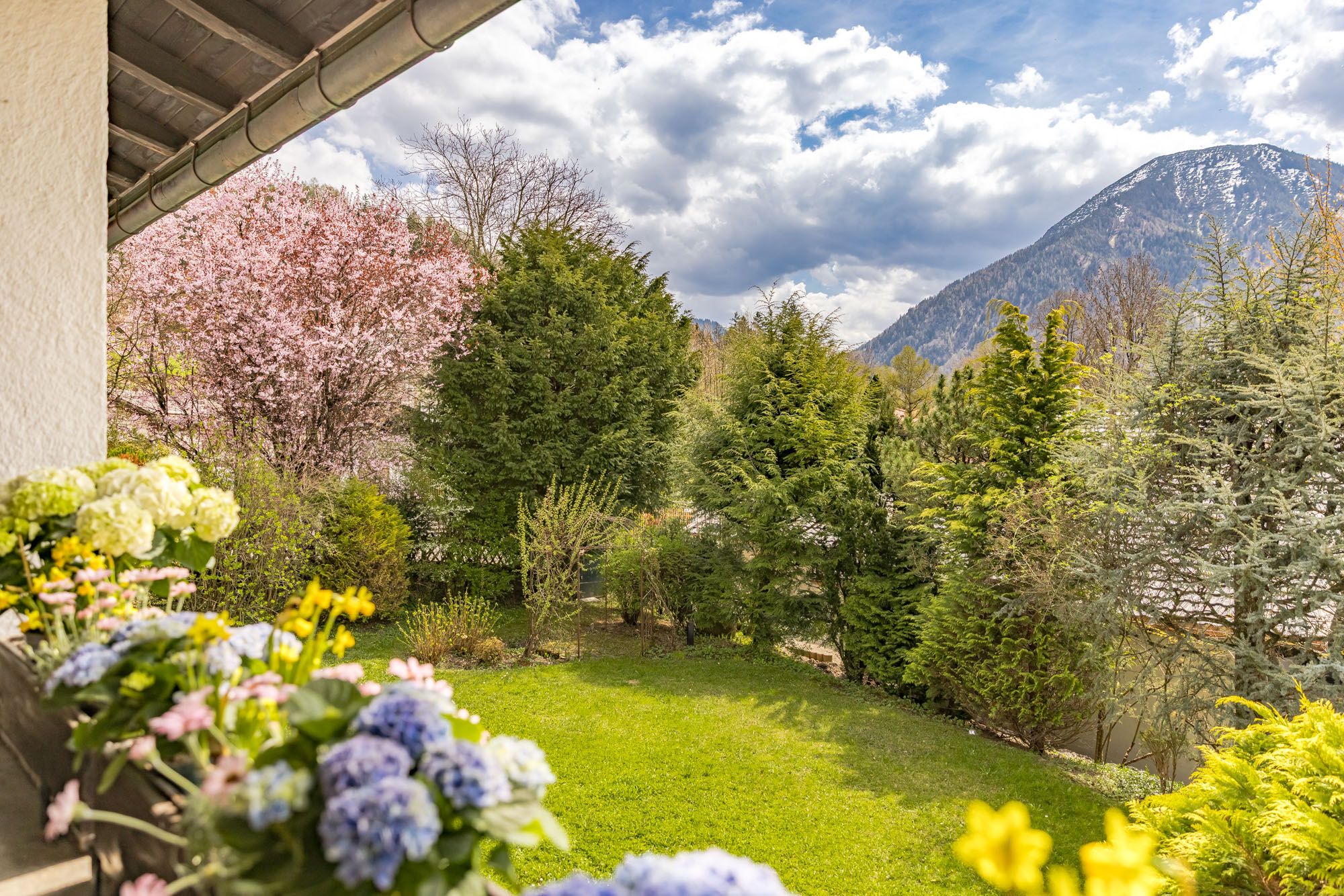  Alpine Living - Front Row to the Mountains - 物件實景