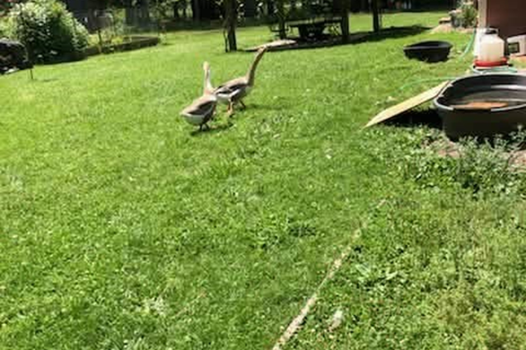  Charming Country Home on 10 Acres - 物件實景