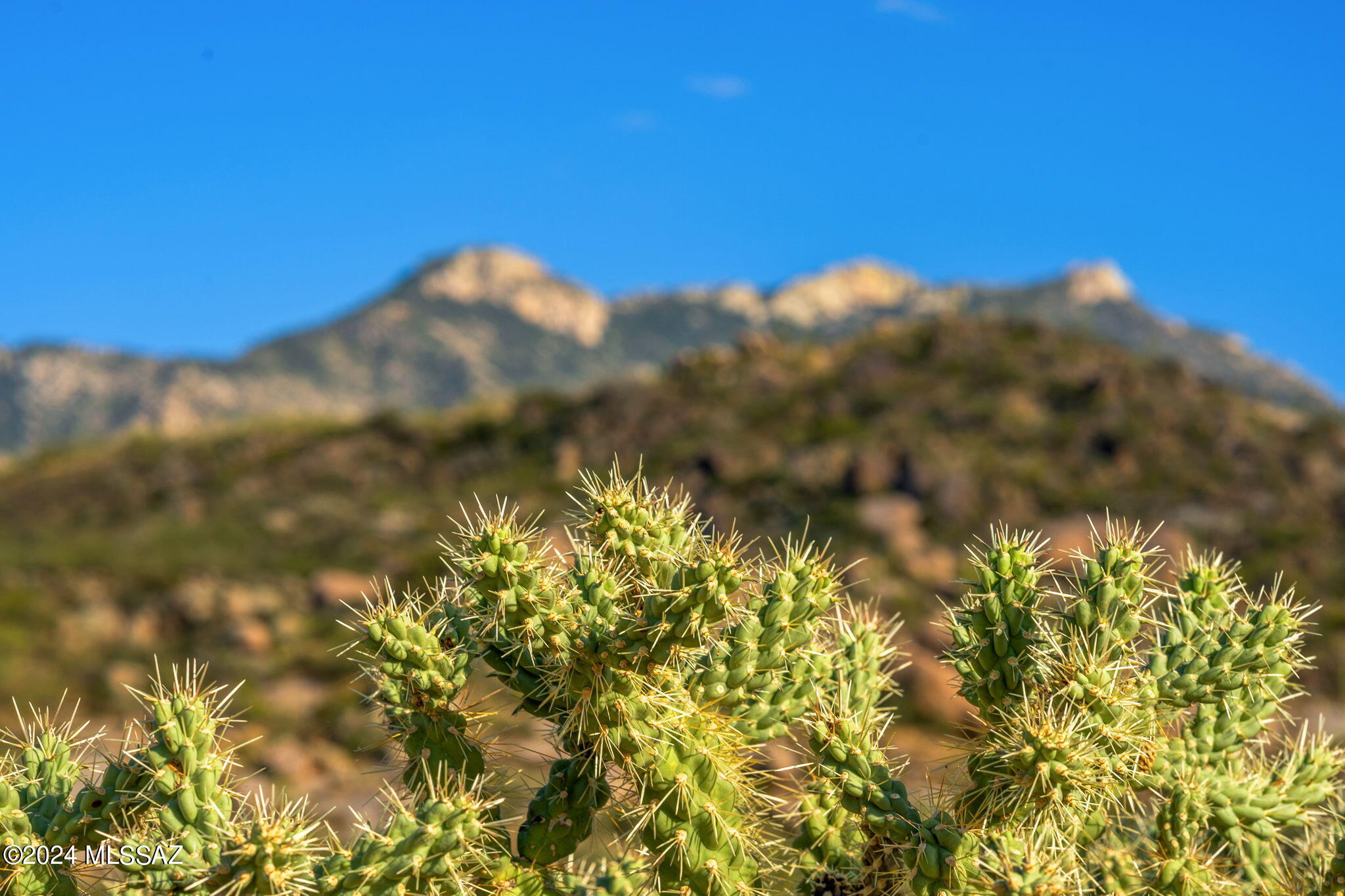 Tucson, Arizona, 85739, United States, ,Land,For Sale,1744993