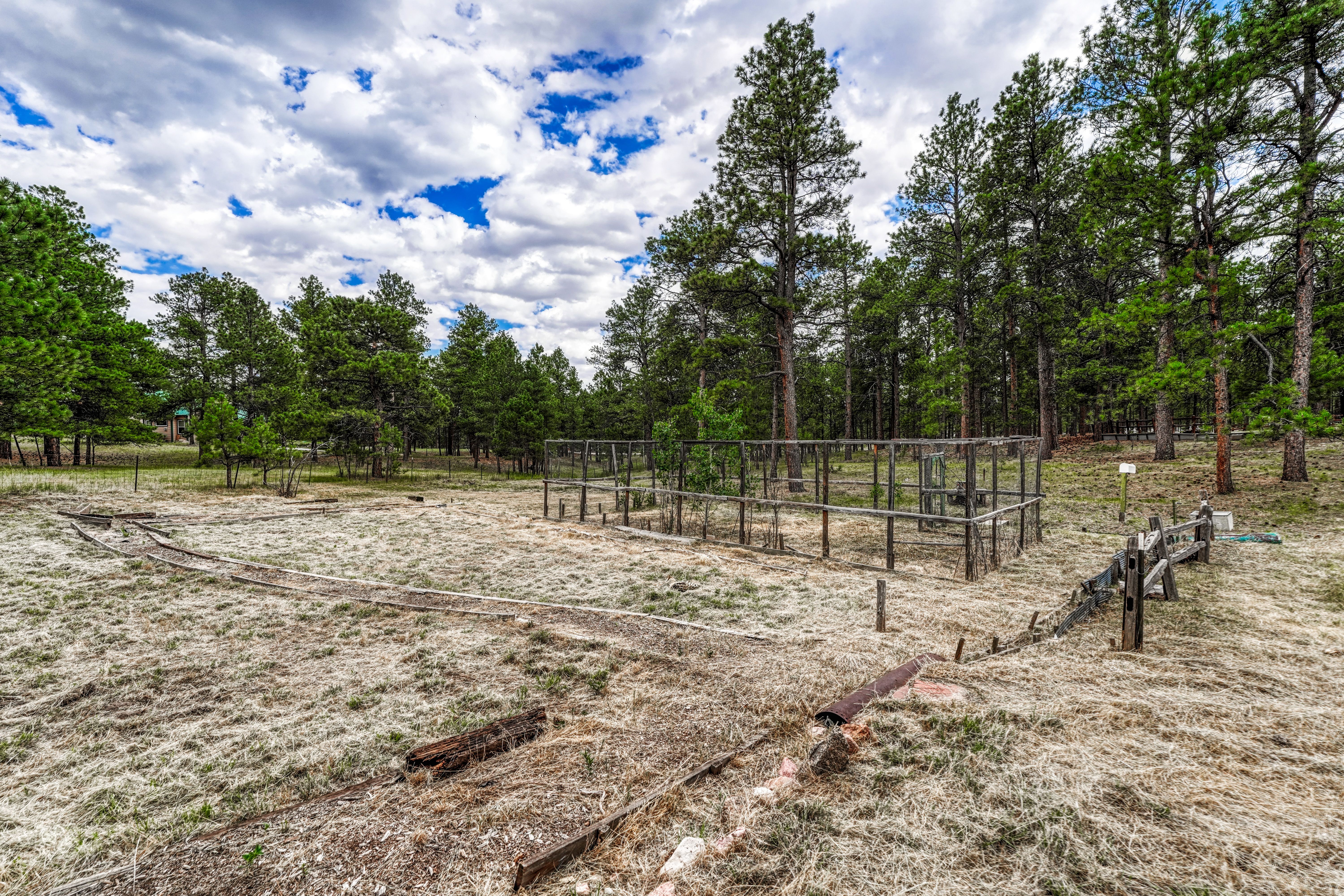  Meticulously maintained ranch-style home in sought-after Black Forest - 物件實景