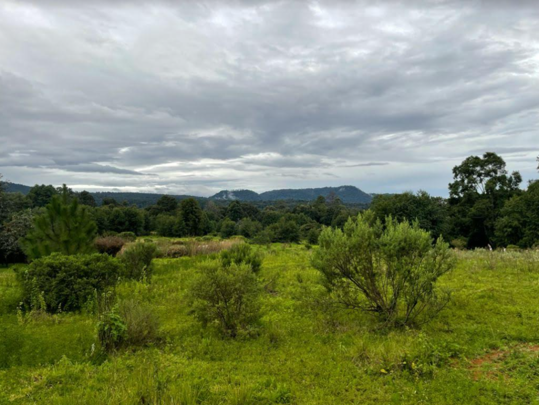 San Simon, Valle de Bravo, Estado de México, 51240, Mexico, 1 Bedroom Bedrooms, ,Residential,For Sale,San Simon,1442734