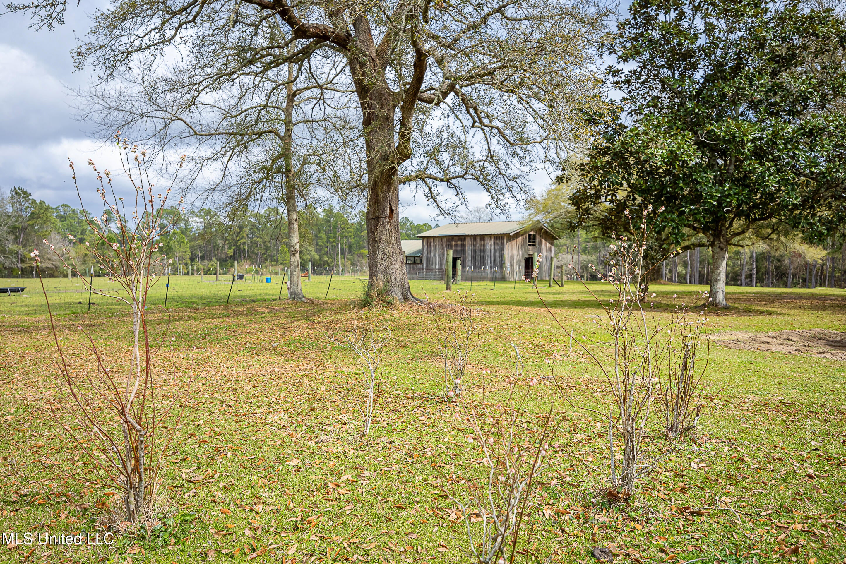 Vancleave, Mississippi, 39565, United States, 4 Bedrooms Bedrooms, ,2 BathroomsBathrooms,Residential,For Sale,1927401