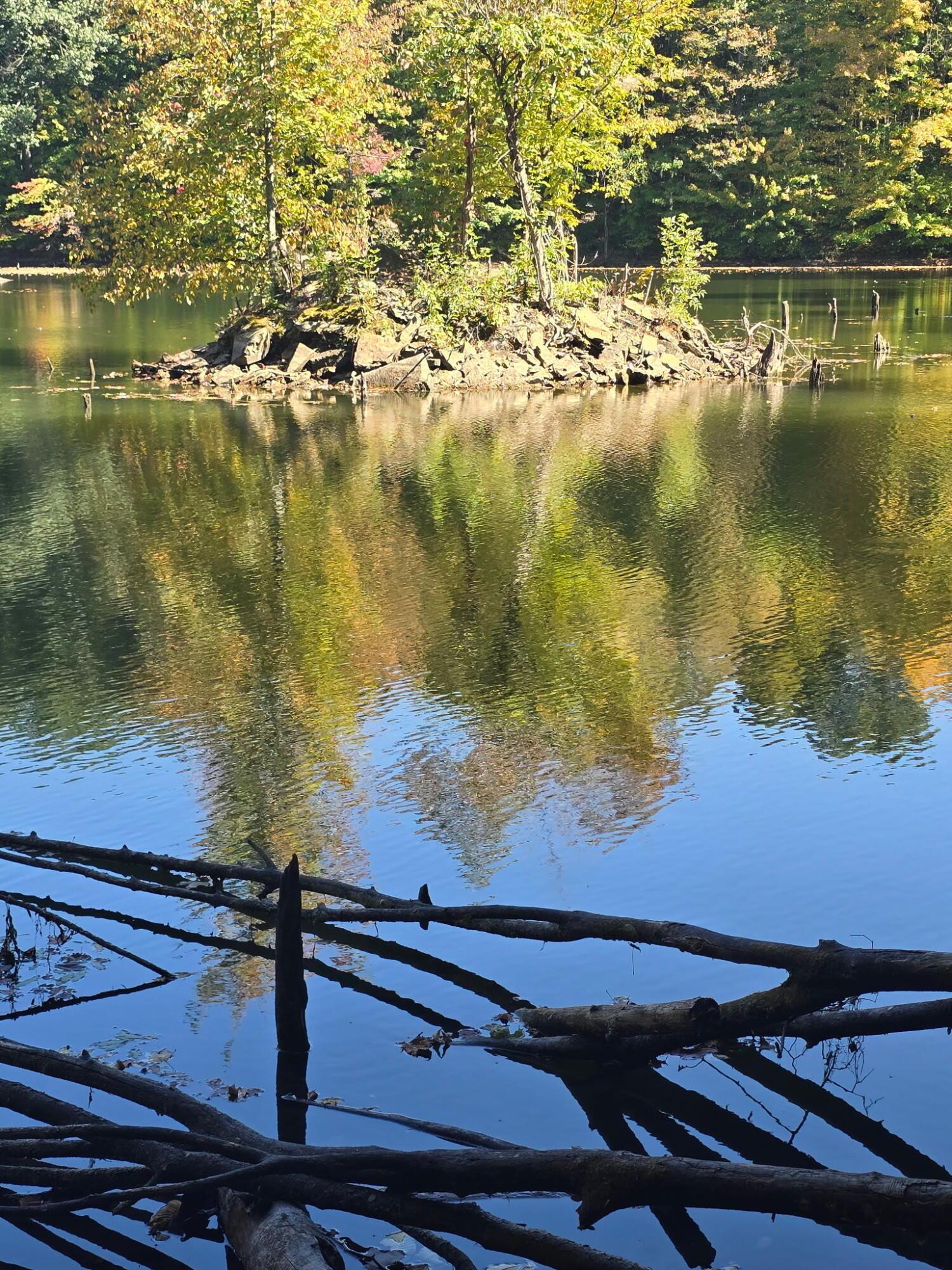 Cardington, Ohio, 43315, United States, 3 Bedrooms Bedrooms, ,2 BathroomsBathrooms,Residential,For Sale,1983191