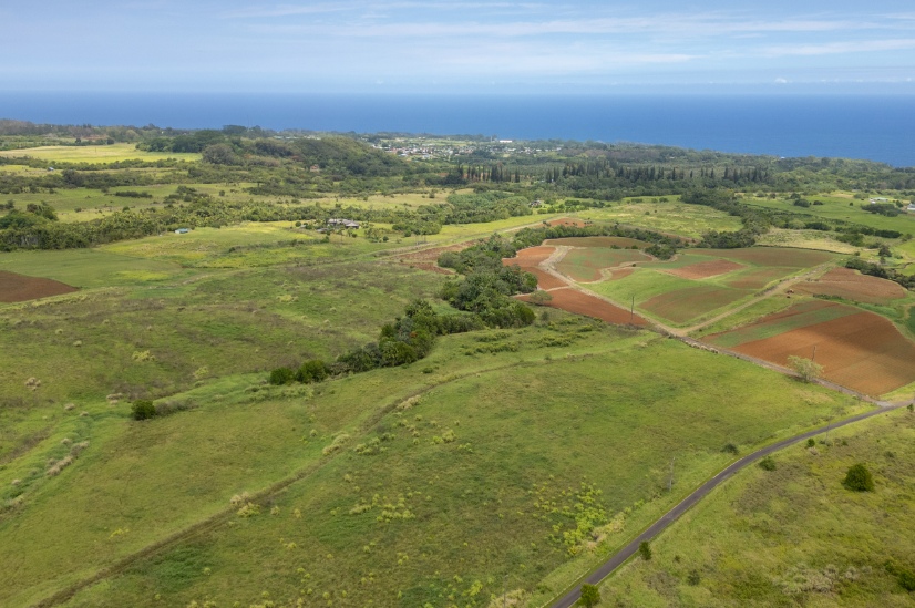Pepeekeo, Hawaii, 96783, United States, ,Residential,For Sale,1943920