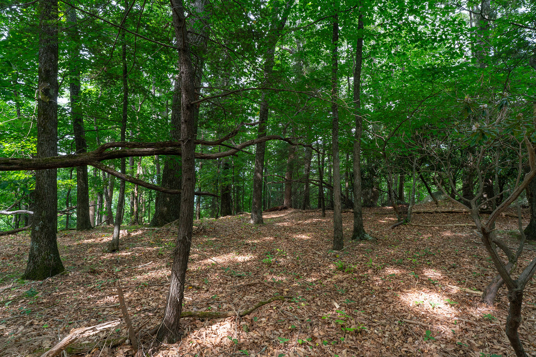  THE ORCHARDS OF MAYVIEW - BLOWING ROCK - 物件實景