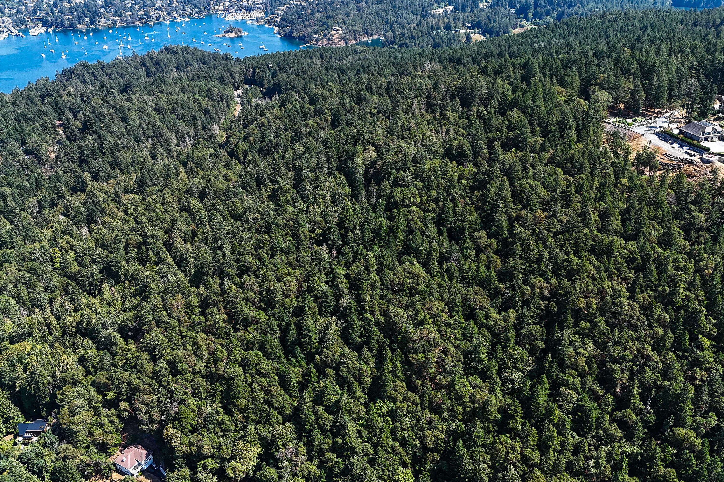 Scenic Peninsula Acreage - 物件實景