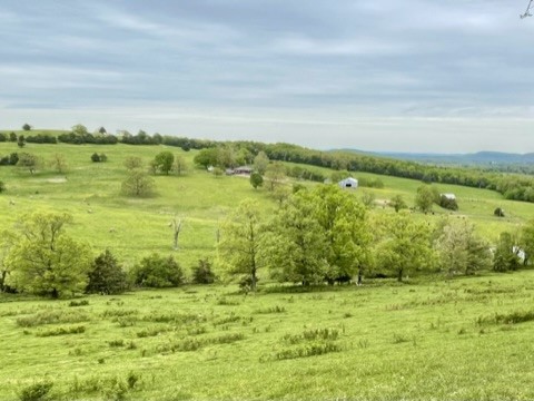 Berryville, Arkansas, 72616, United States, 6 Bedrooms Bedrooms, ,4 BathroomsBathrooms,Residential,For Sale,1988341