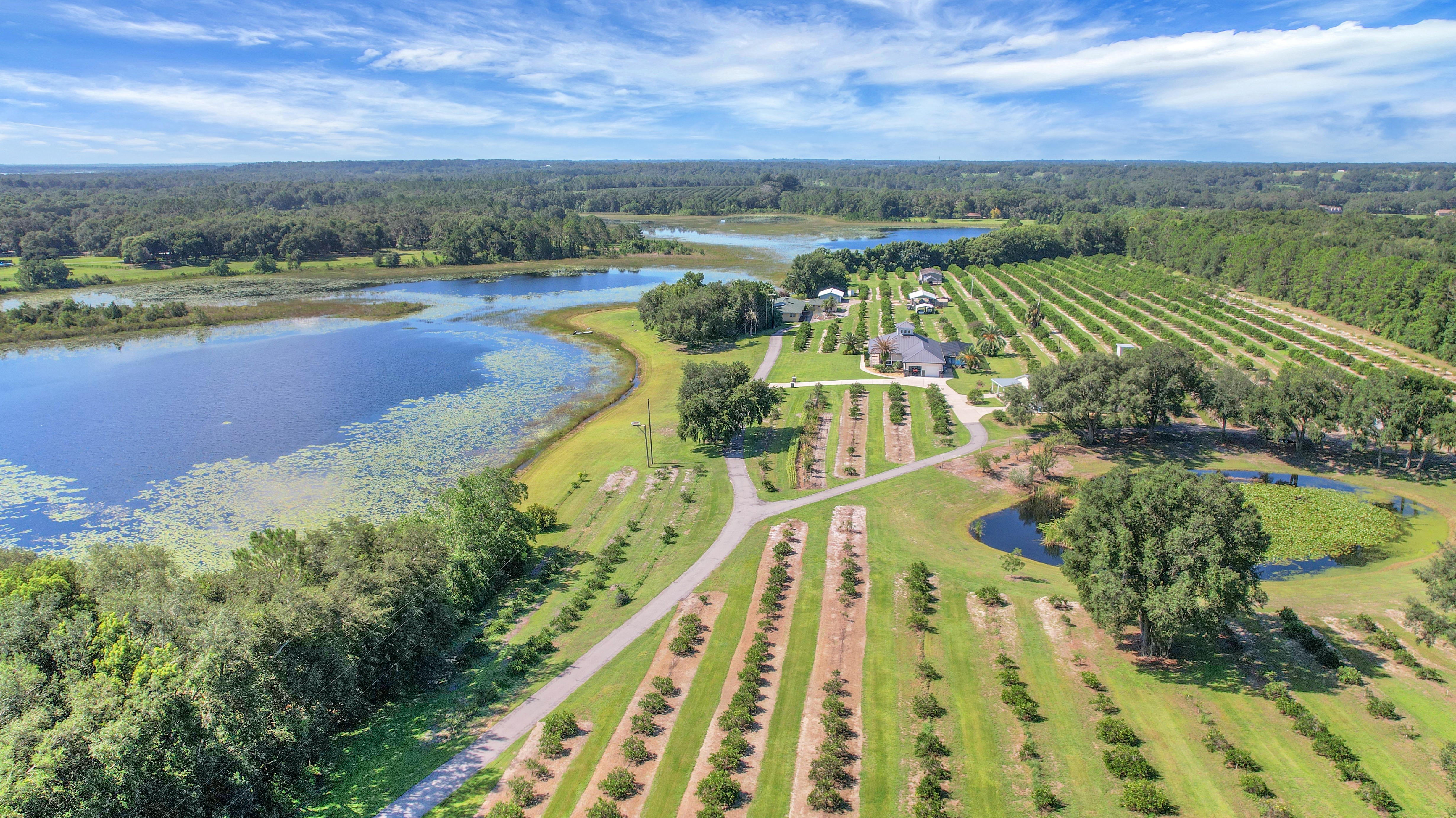Weirsdale, Florida, 32195, United States, 4 Bedrooms Bedrooms, ,3 BathroomsBathrooms,Residential,For Sale,1900688