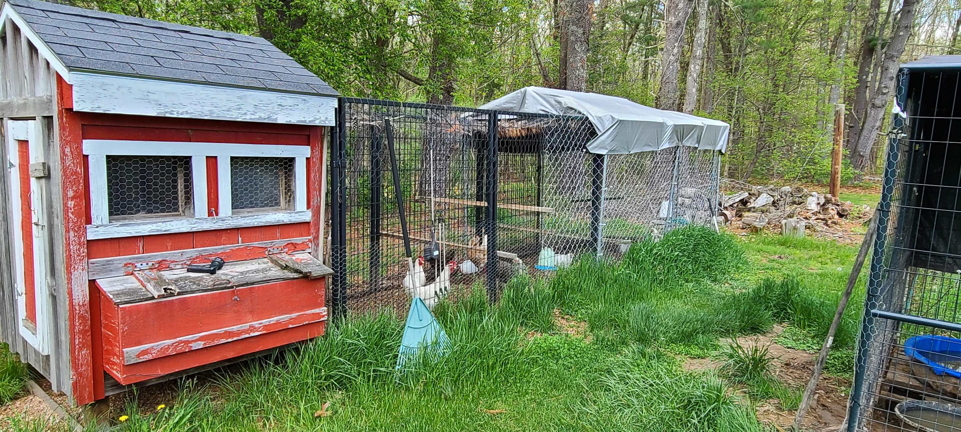  21 Cedar Road, North Hampton, NH 03862 - 物件實景