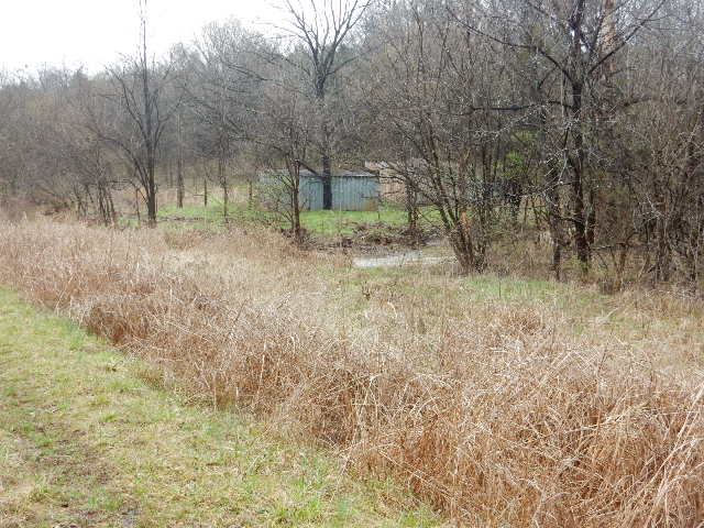 Clermont, Kentucky, 40110, United States, ,Land,For Sale,1980542