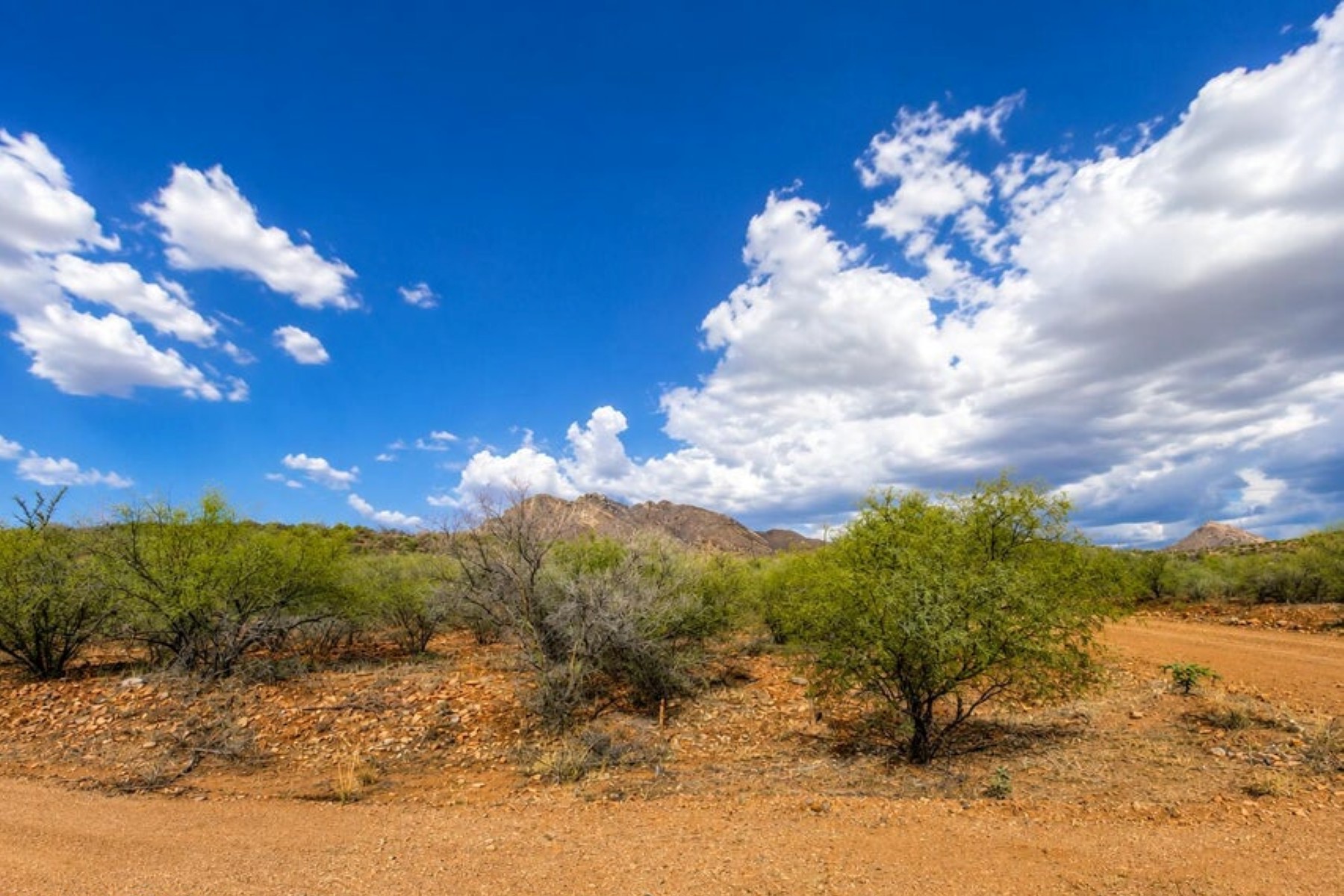  1535 Granero Court ¦ Rio Rico, AZ - 物件實景