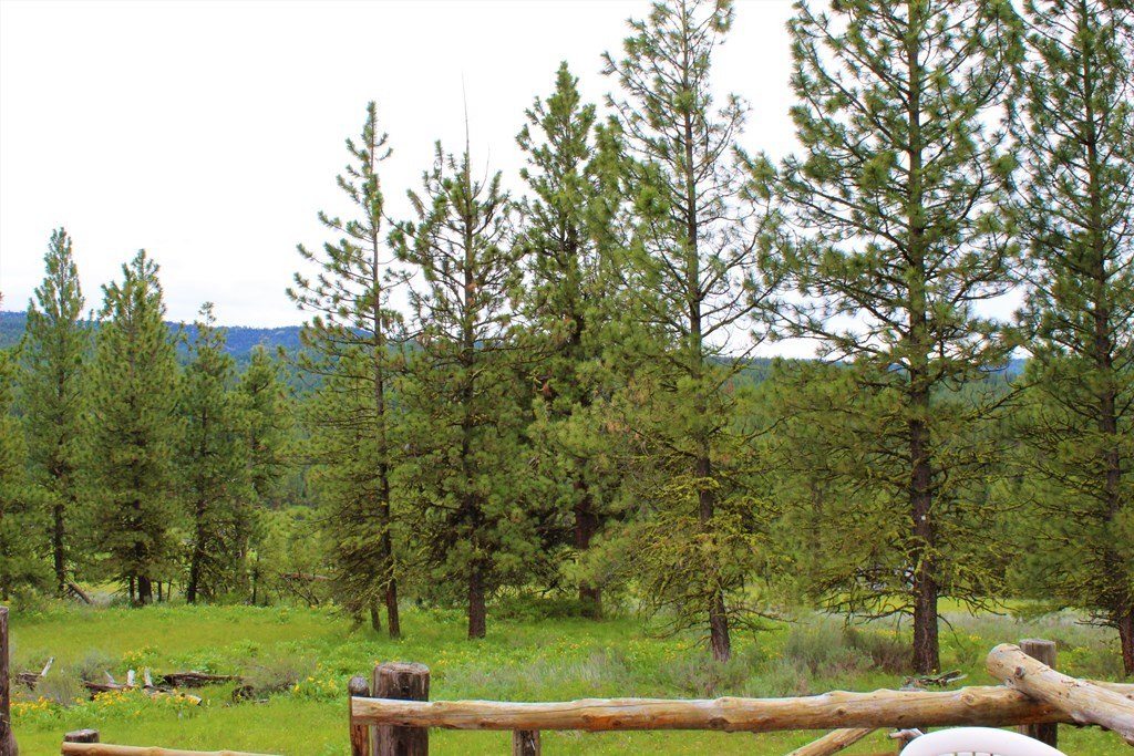 New Meadows, Idaho, 83654, United States, 1 Bedroom Bedrooms, ,1 BathroomBathrooms,Residential,For Sale,1979050