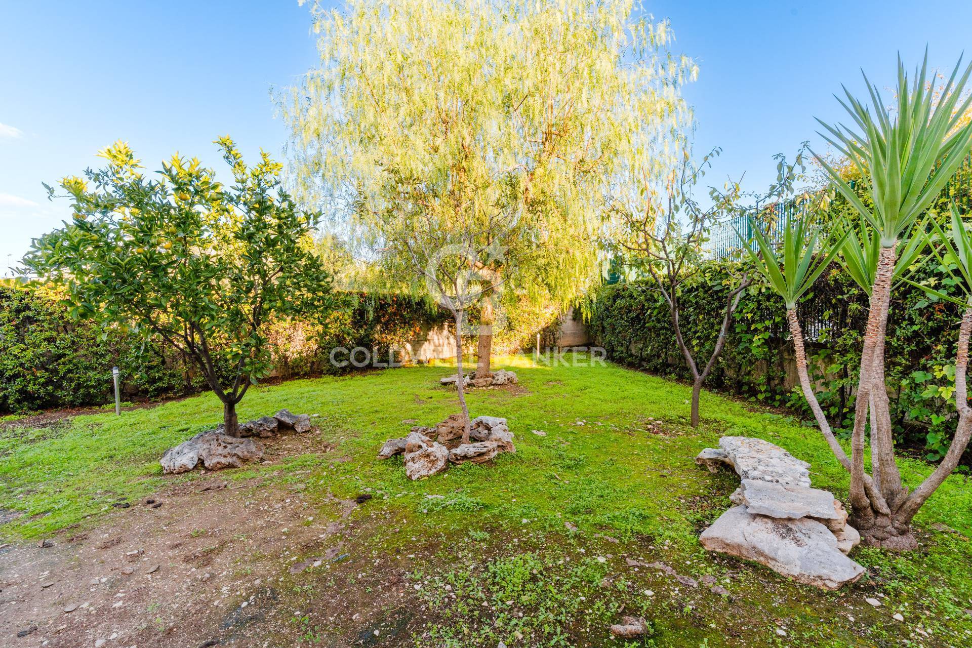 Ruvo di Puglia, Bari, 70037, IT, 4 Bedrooms Bedrooms, ,3 BathroomsBathrooms,Residential,For Sale,1987769