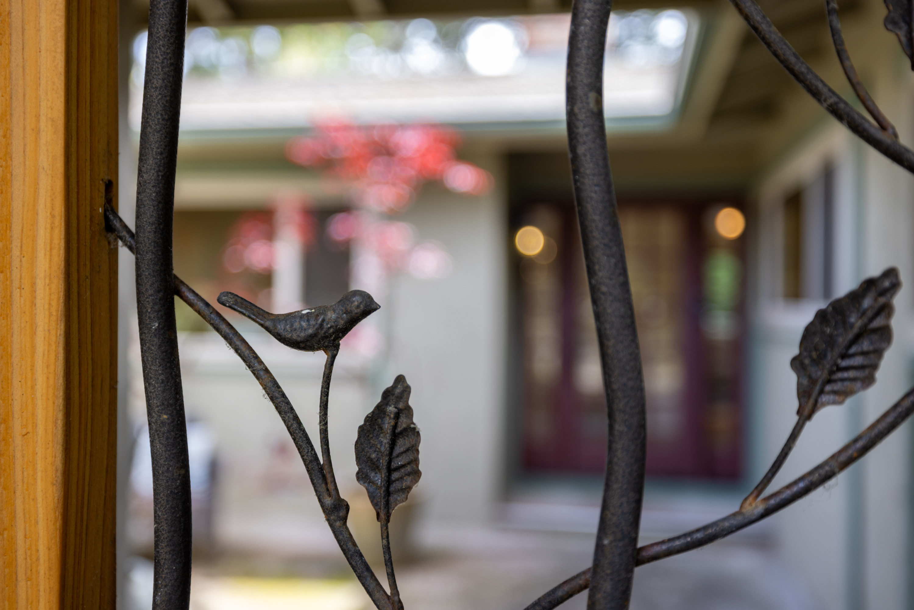  3 Forest Rise Place, Monterey - 物件實景