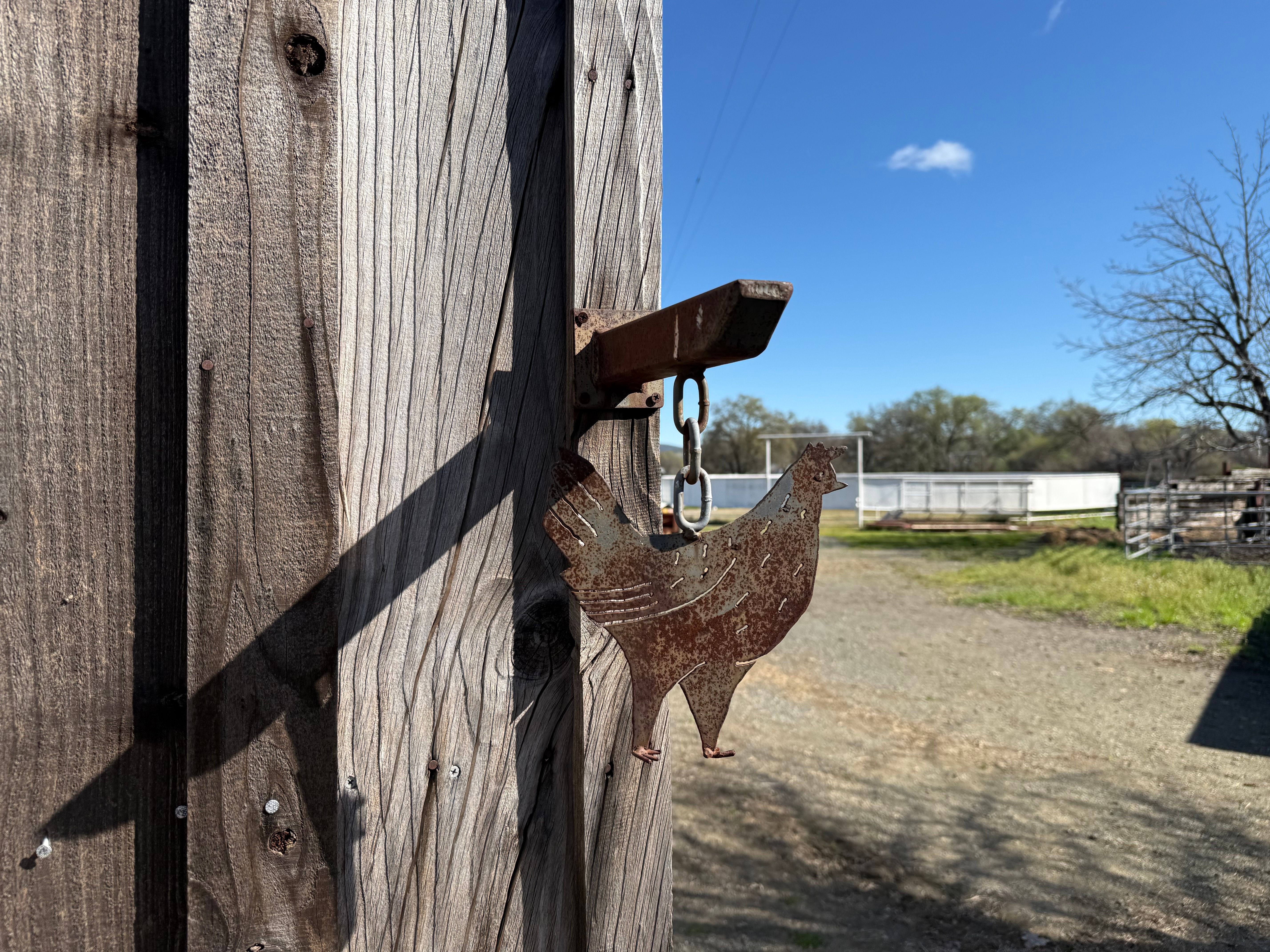  Wine Country Ranch Living - 物件實景