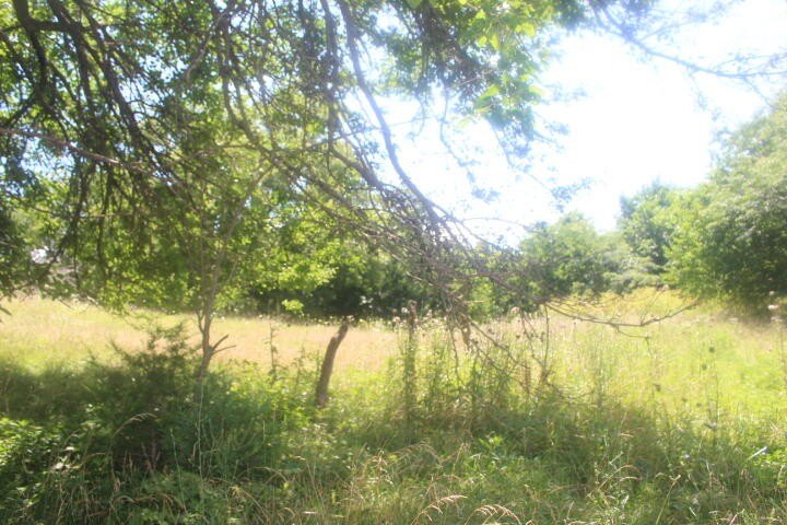 Polk, Missouri, 65727, United States, ,Land,For Sale,1980569